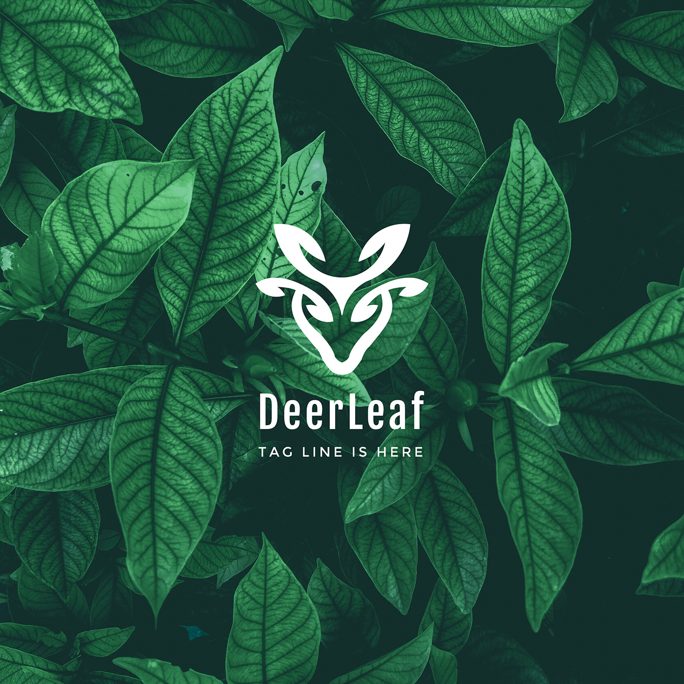 animals deer leaf logo Logo Design logo for sale logo inspiration Logo nature