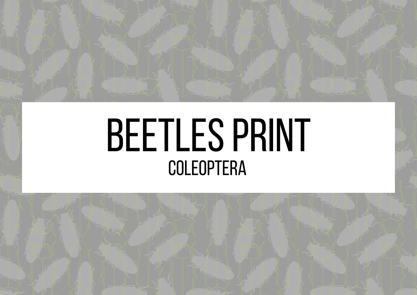 seamless pattern textile design  print pattern ILLUSTRATION  beetle bugs
