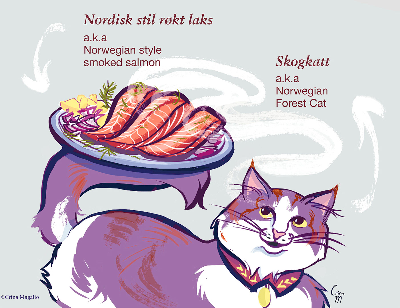 Editorial Illustration food illustration
