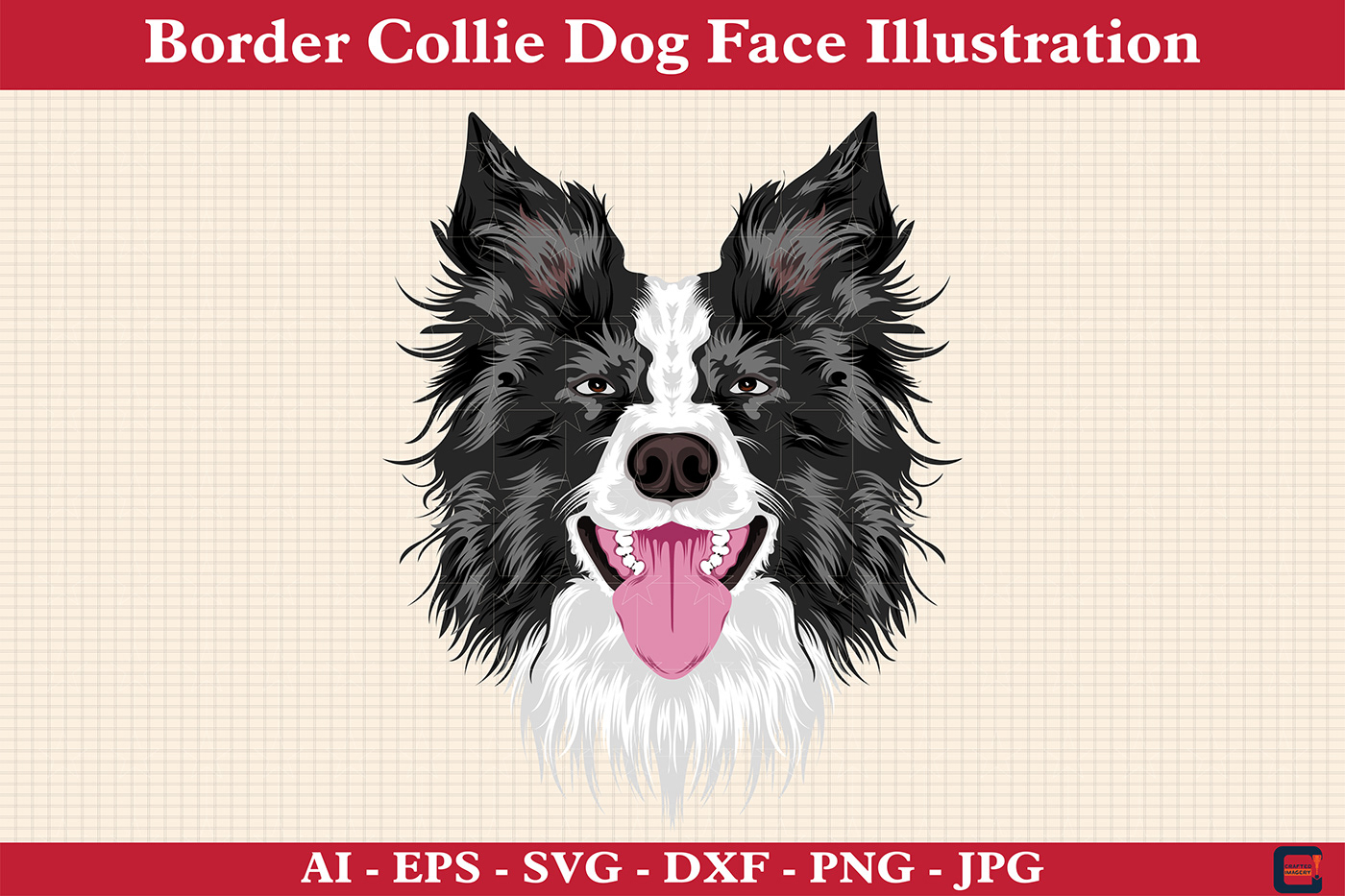 border Pet dog Breed face ILLUSTRATION  Isolated cute puppy collie