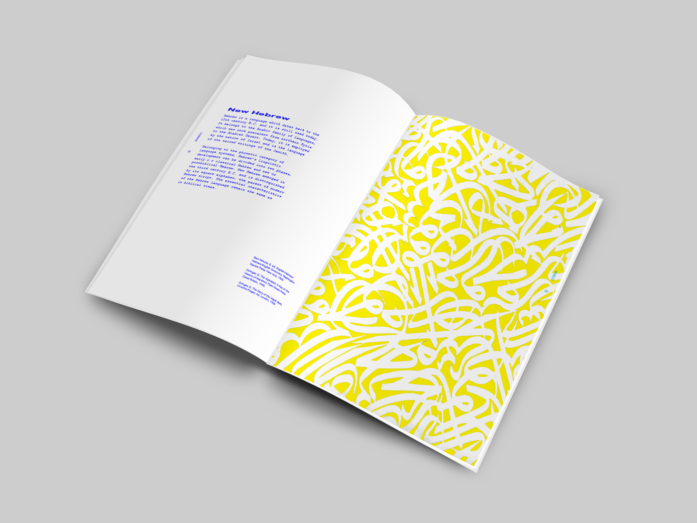 graphic design editorial key risd bookmaking Layout