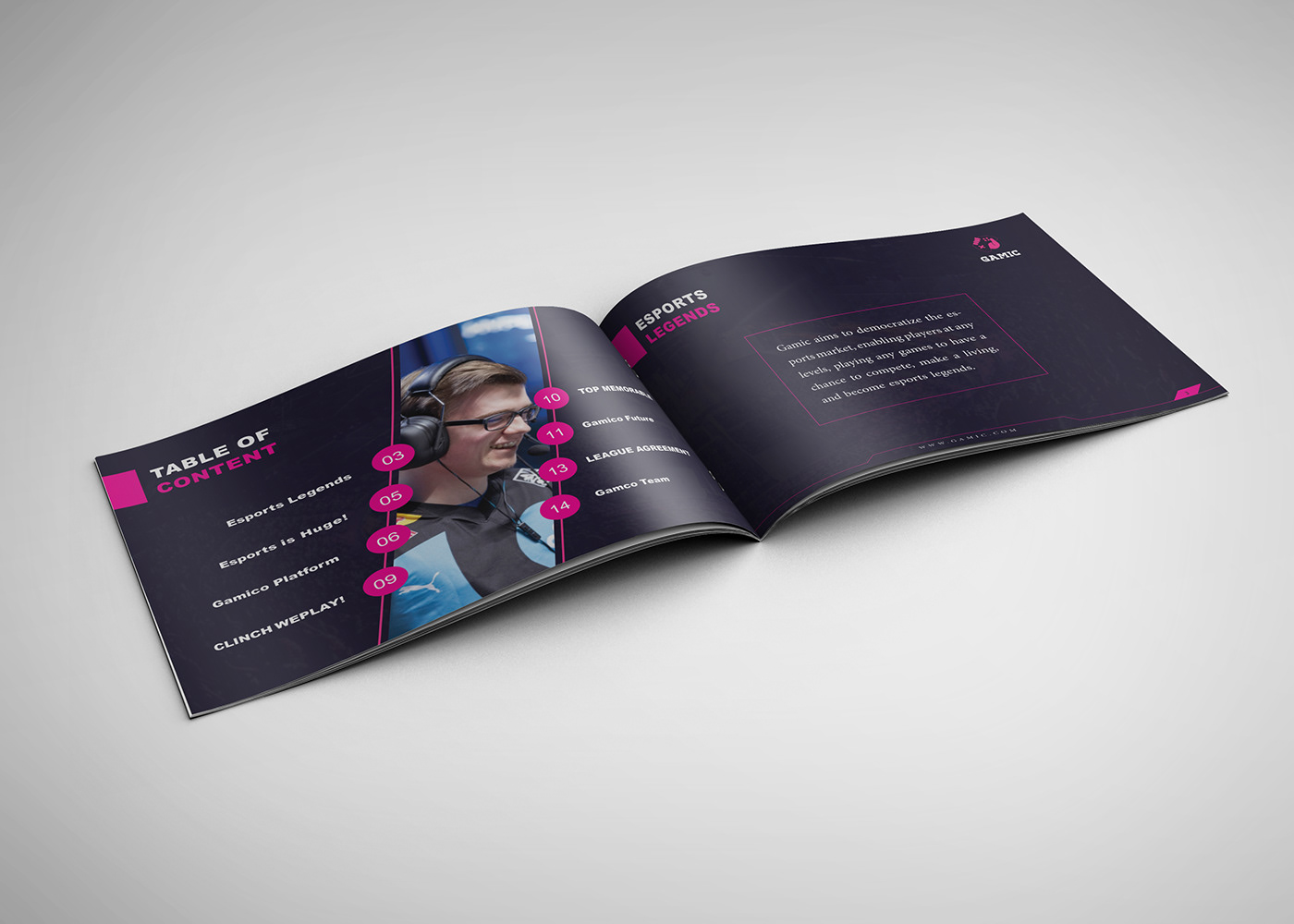 company InDesign brochure Gaming
