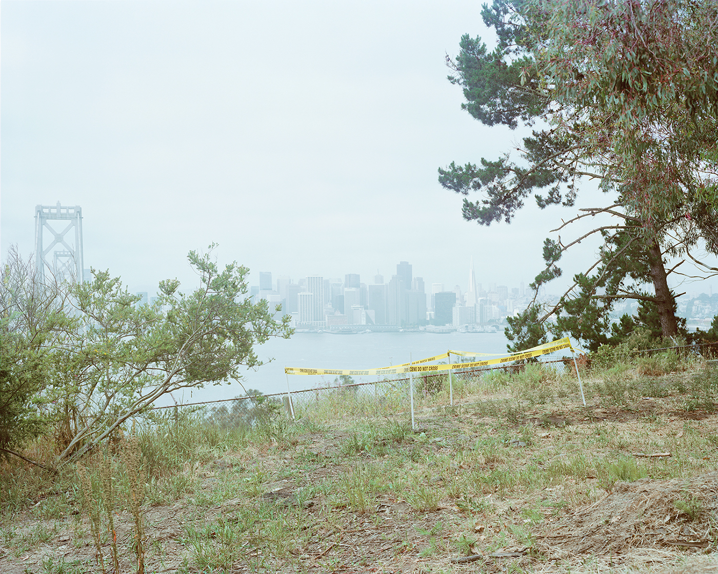 analog  Photography  LandArt   4x5  crime scene