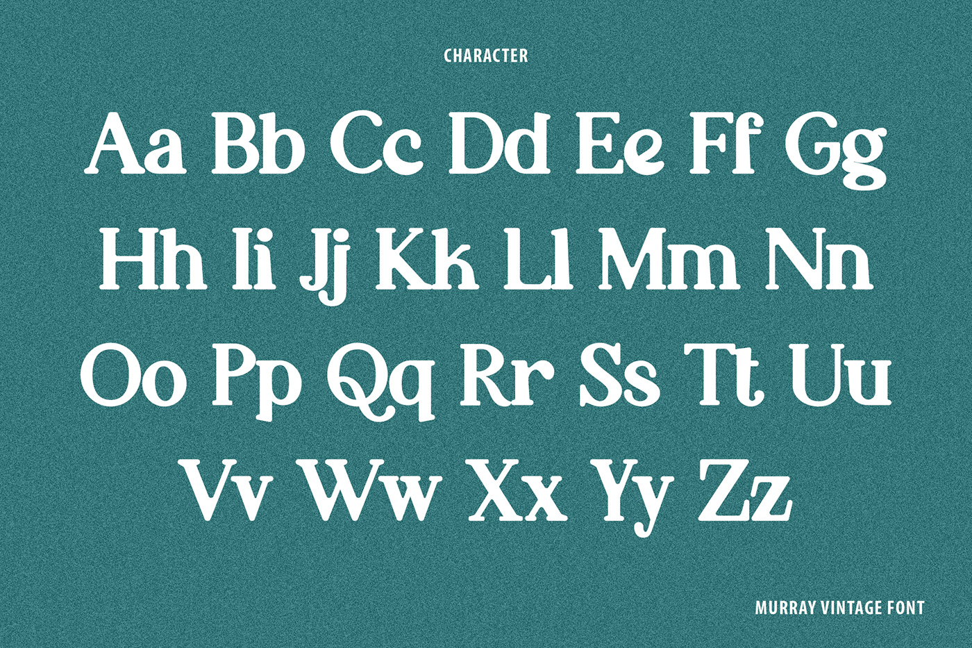 Display display font fonts retro font Serif Font type design Typeface typeface design typography   vintage font