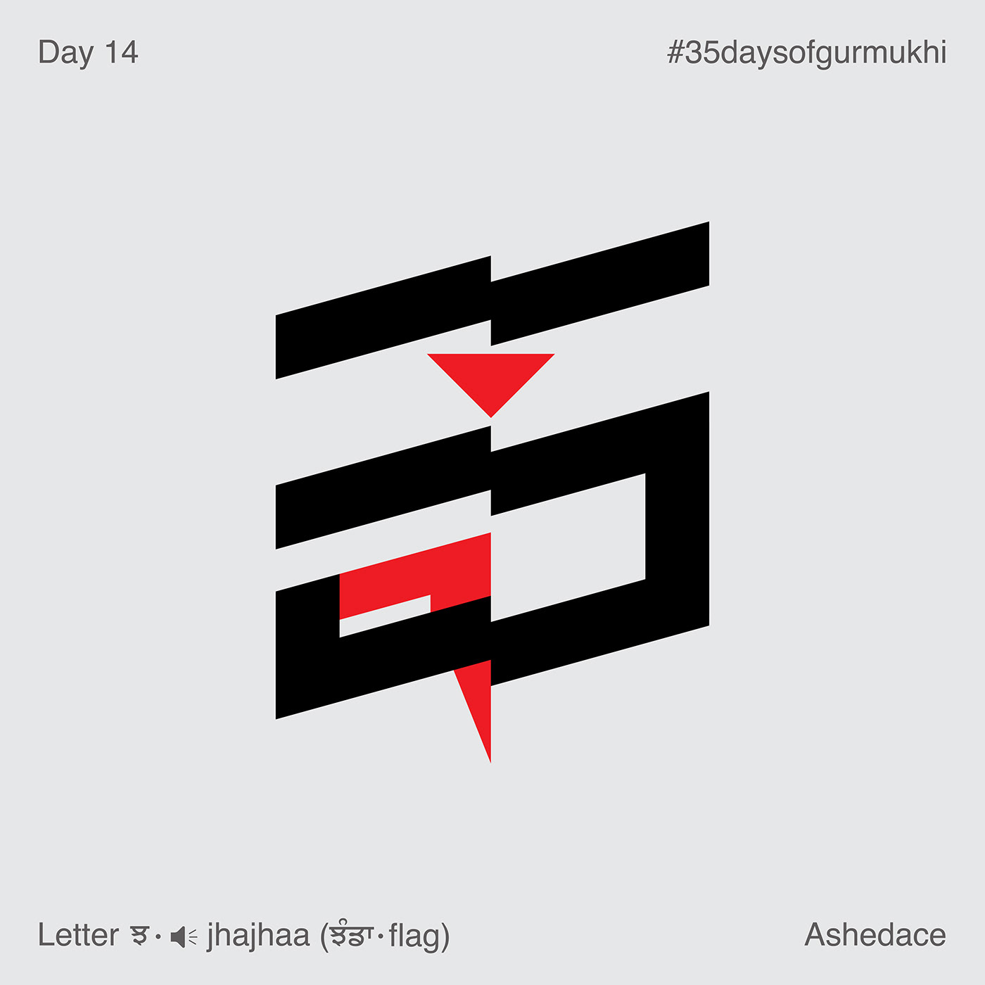 35 days Ashedace Desi Design gurmukhi India lettering punjab punjabi typography  