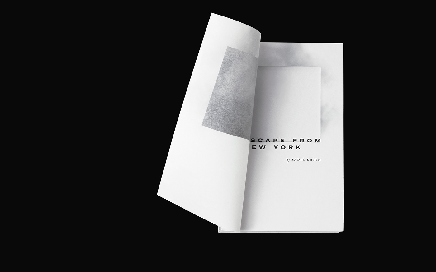 book design typography   graphic design  schoolofvisualarts editorial