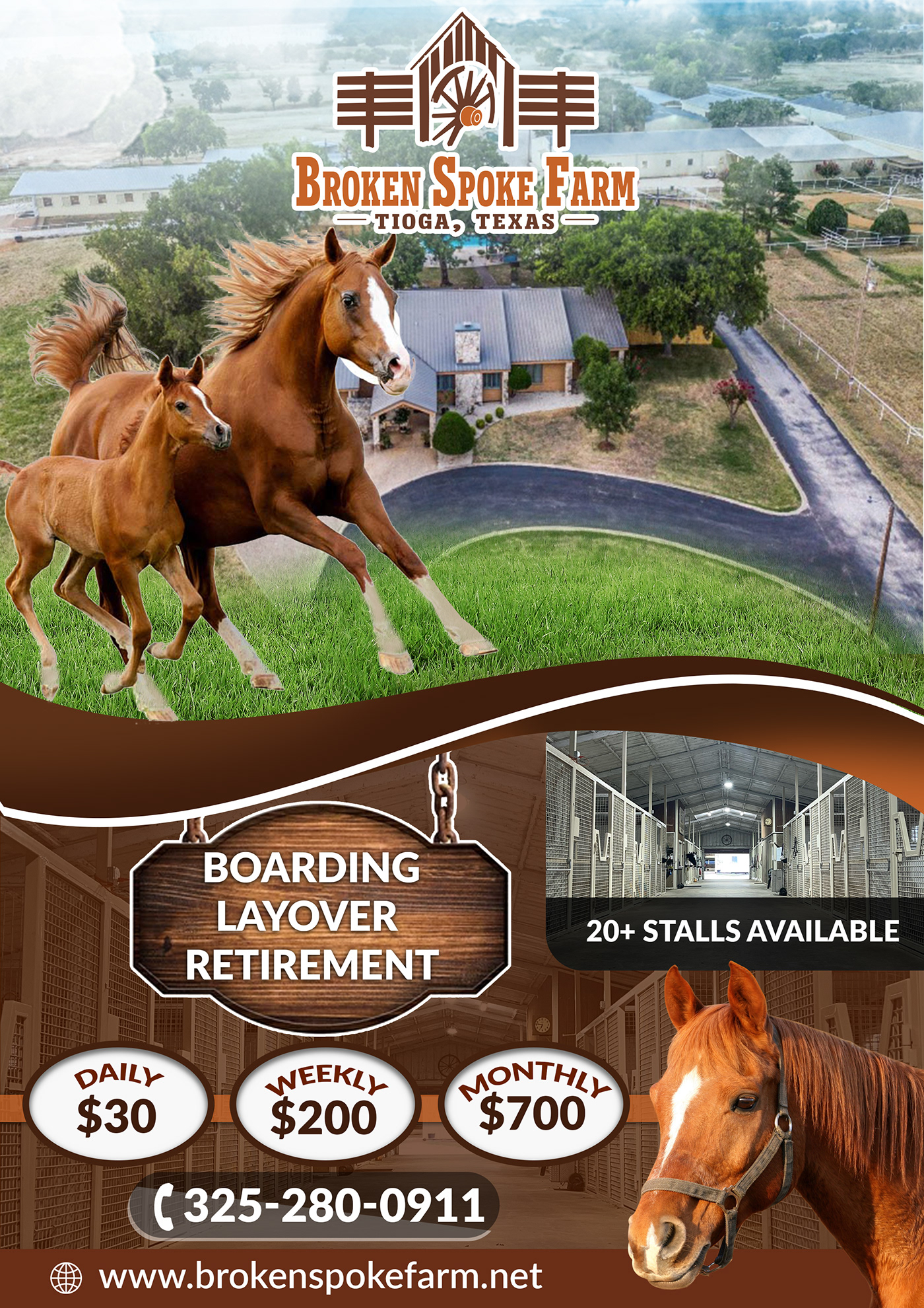 horse farm flyer animals Promotional sales business BROKEN SPOKE FARM horse farm