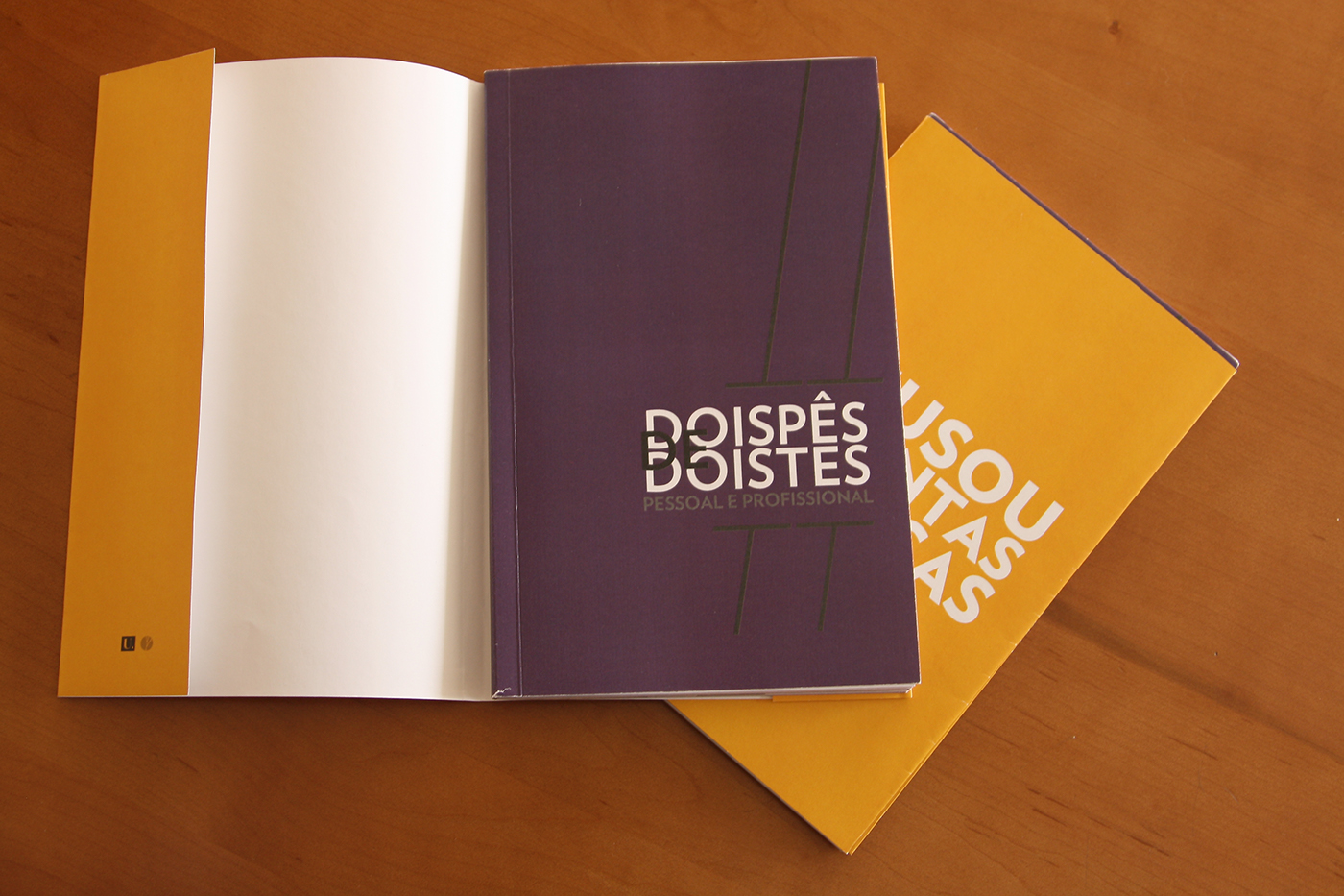 book Livro portfolio french fold dobra francesa things Coisas personal interactive Reading