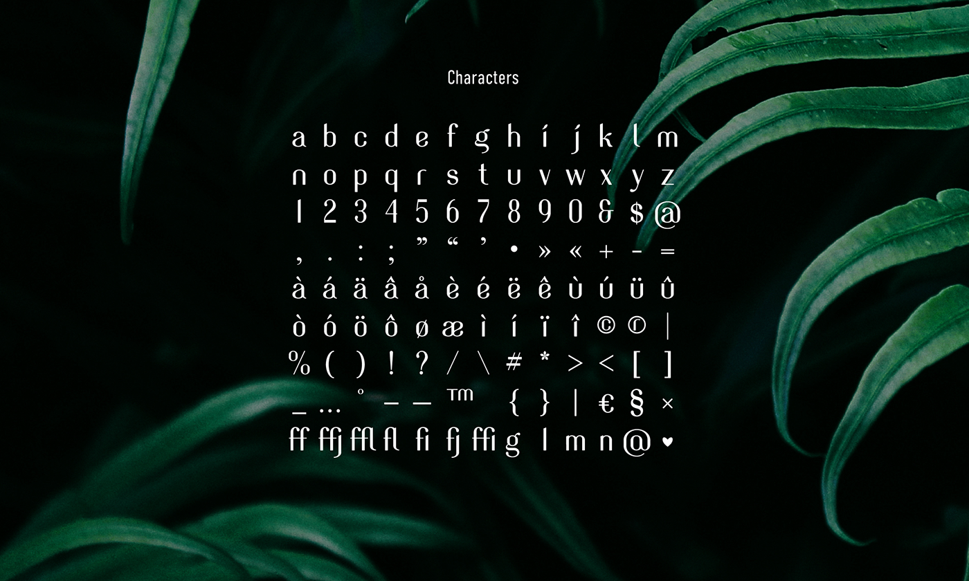 Fontself typography font Typeface evergreen