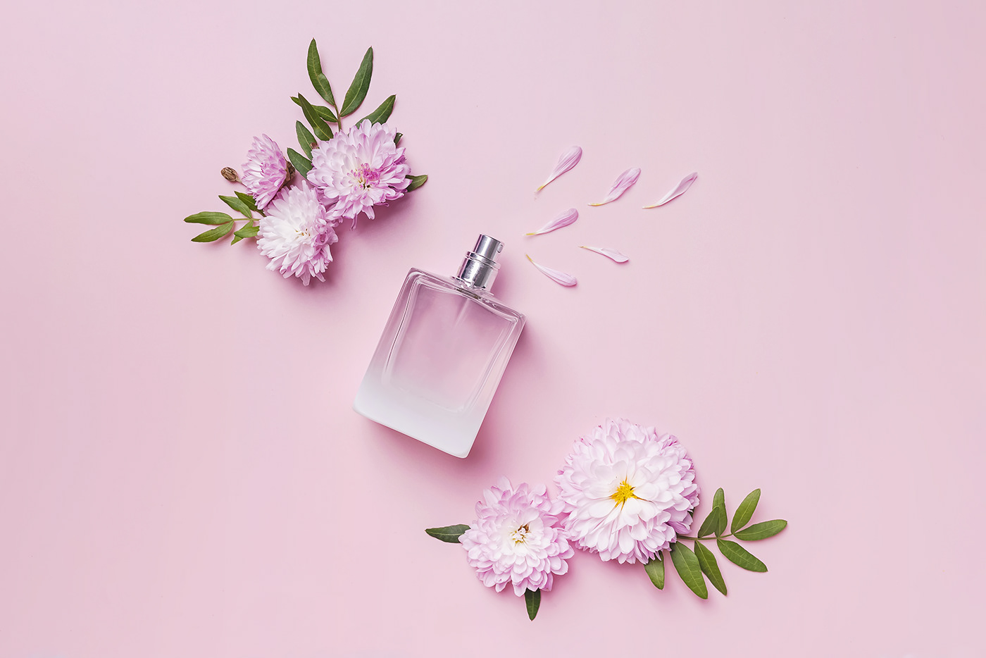 Creative Photography floral Flowers pattern perfume Photography  photoshoot pink studio
