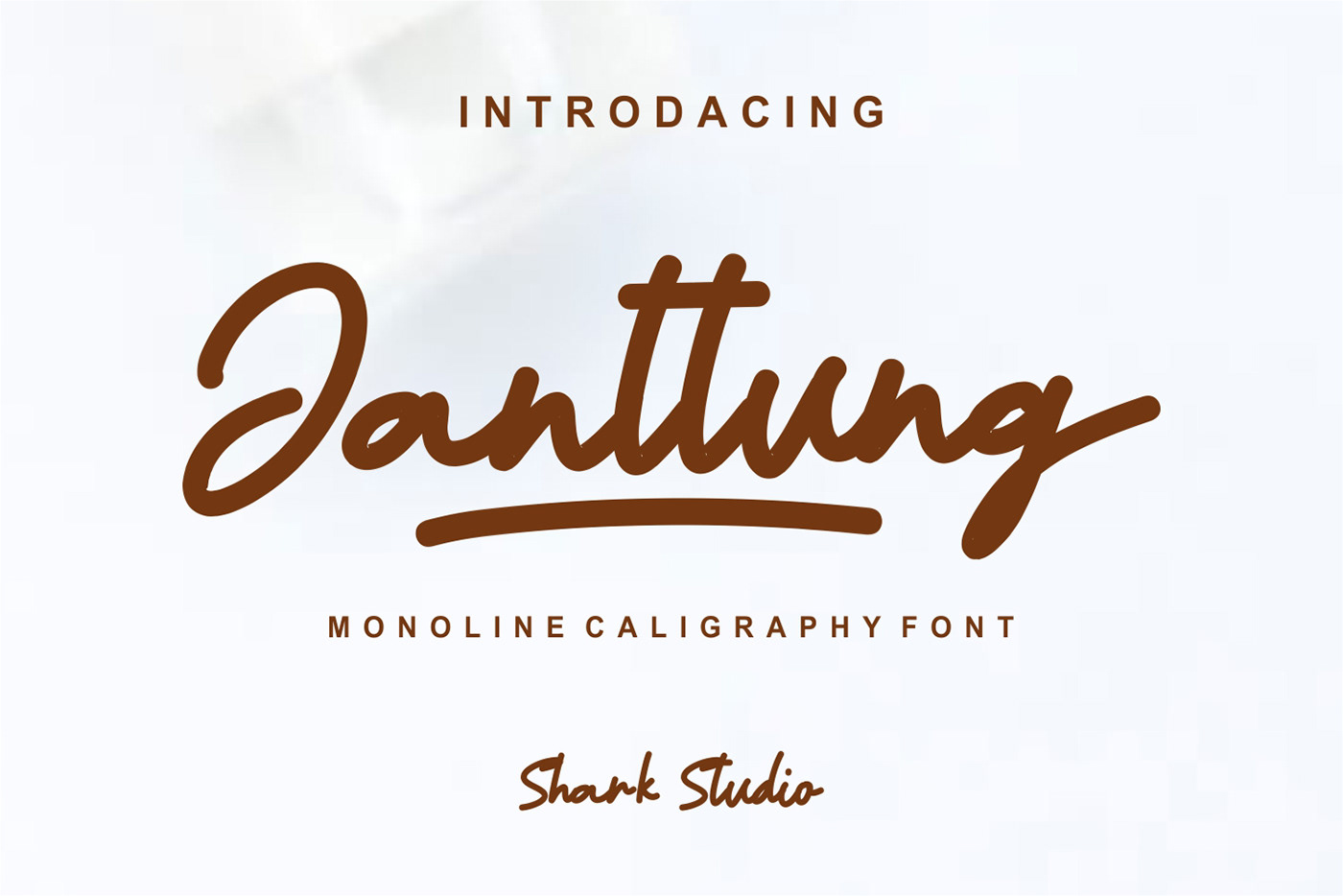 caliggraphy design Fashion  font fonts glyph Photography  signature typography  