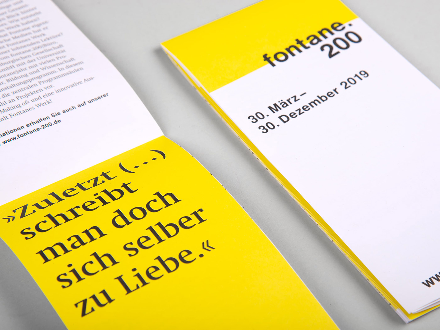 Brandenburg broschure Exhibition  Exhibition Design  Fontane graphic design  poster Typographie yellow