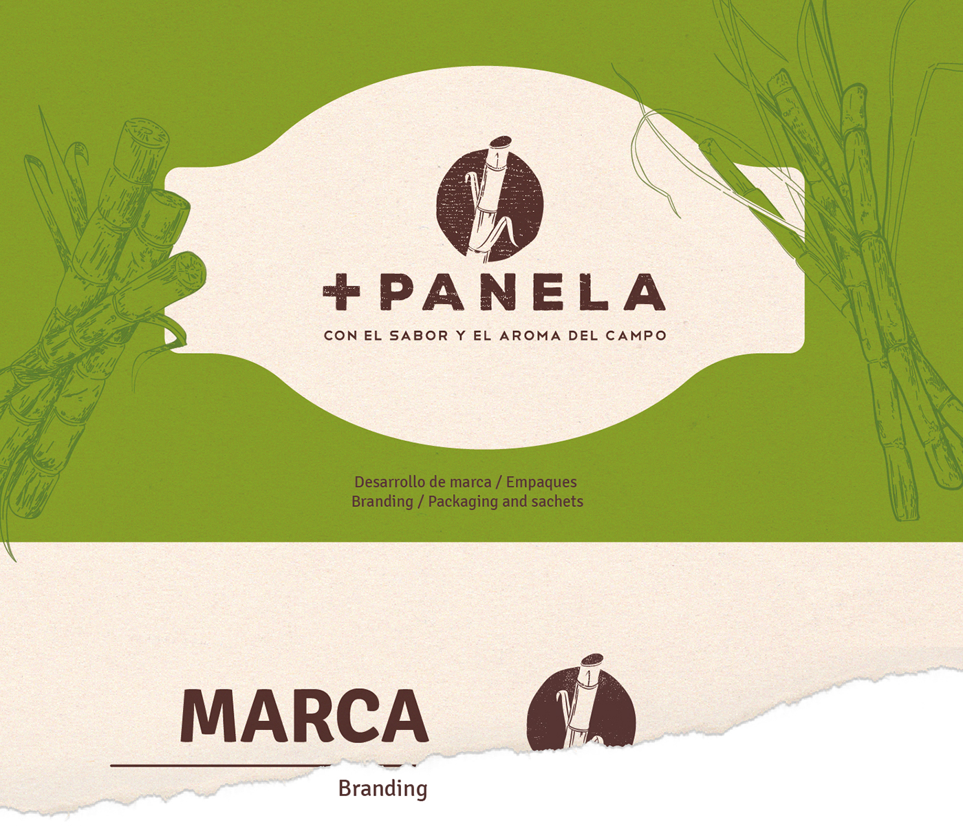 panela colombia sugar cane sugar Packaging branding  logo country farmer