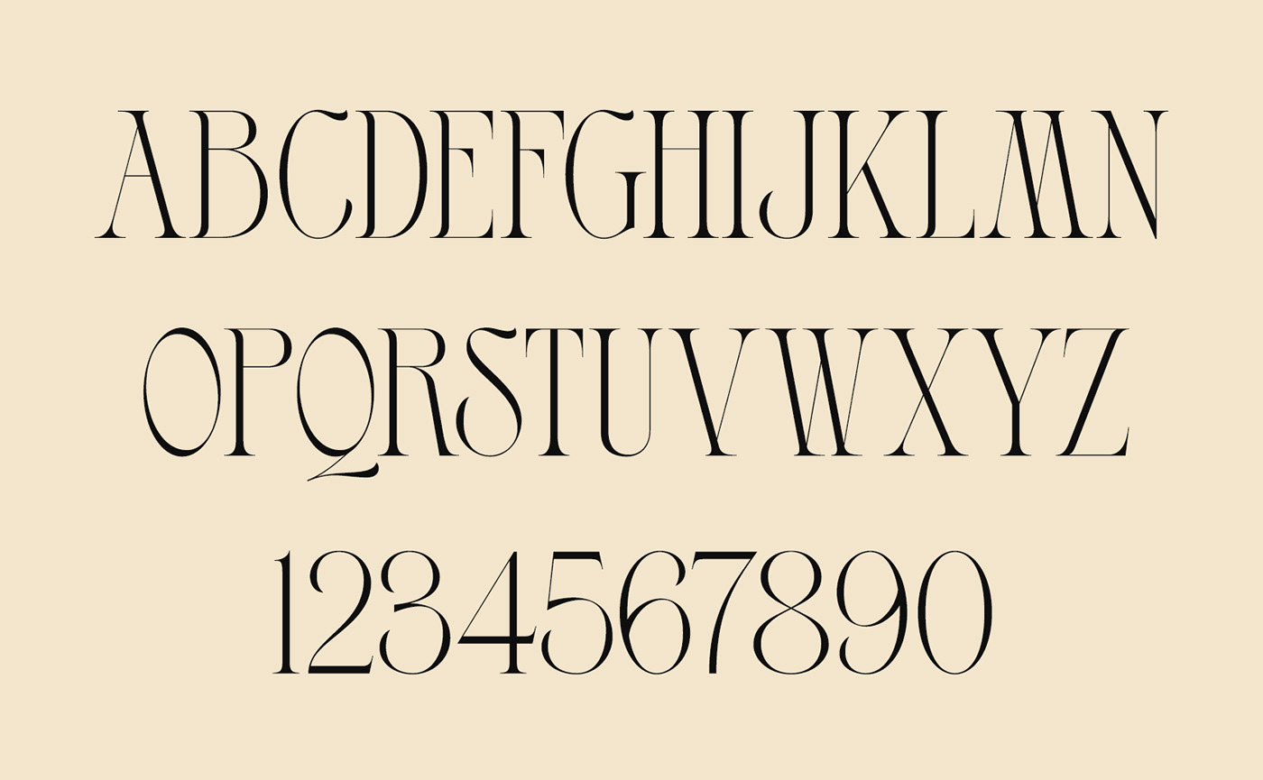 branding  font free Free font free fonts ligature logo Logotype serif Typeface