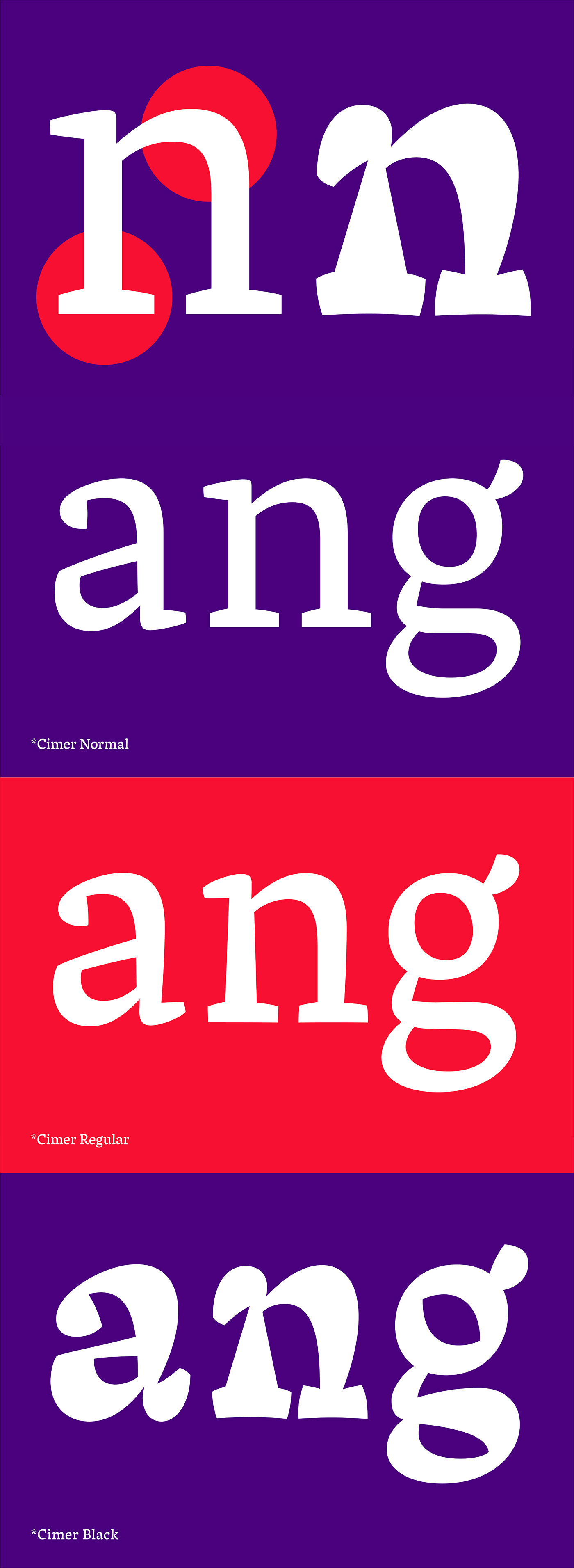 typeparis typeparis18 type design Typeface graphic design  Ruggero Magri