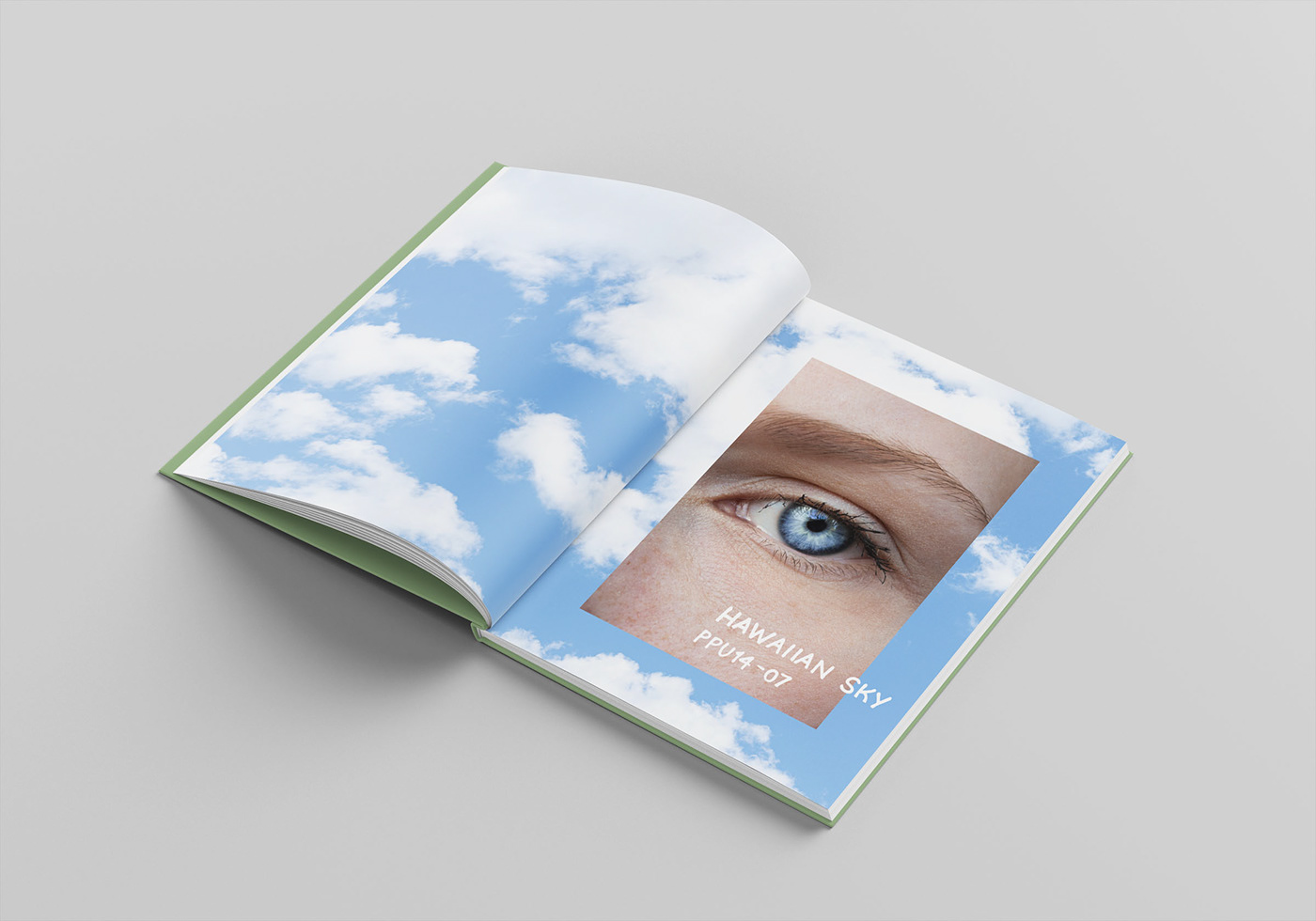 book design editorial InDesign Layout Photography  photoshop