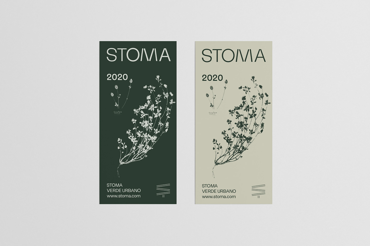 ArtDirection branding  Conceptdesign disegnografico plants STOMA Webdesign