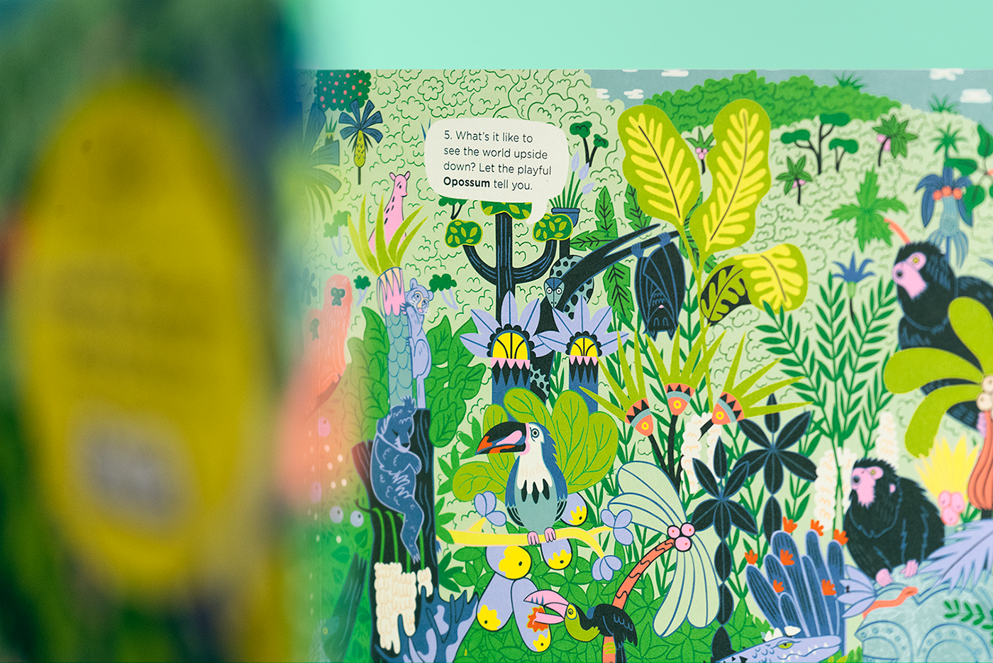 childrens books rainforest wildlife illustrated books Concertina Book panoramic animals jungle