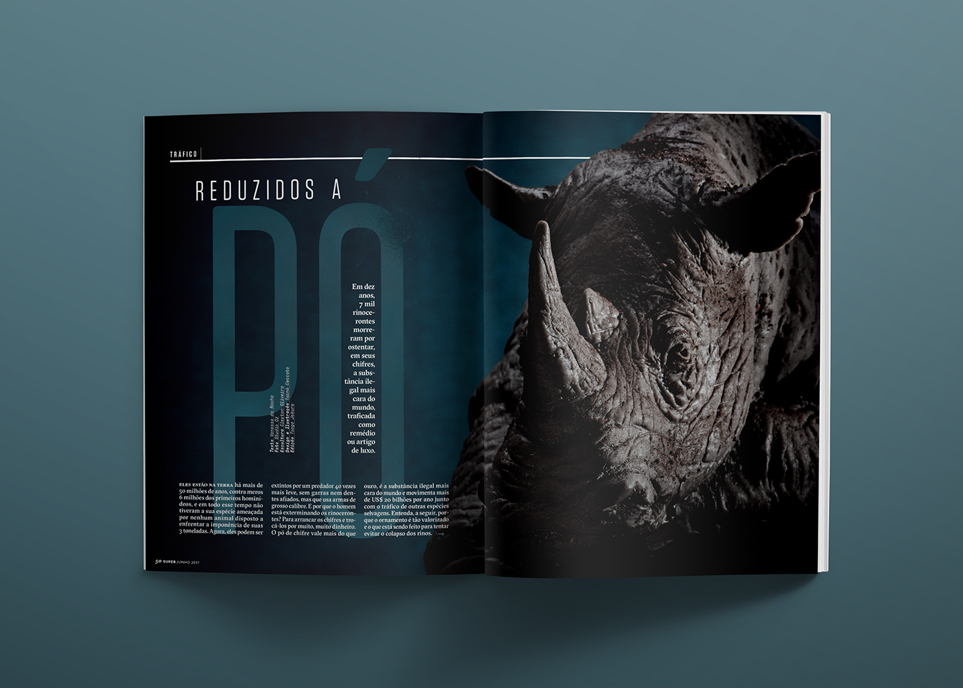 Still editorial rinoceronte Editora Abril superinteressante Data Viz Horn infographic Photography  rhyno