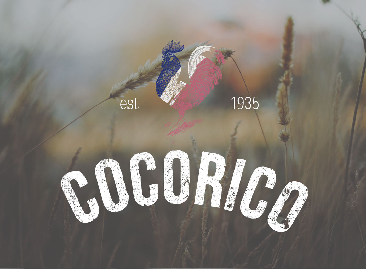 cocoricó clothes brand com Français branding  design Cosmetic product Packaging
