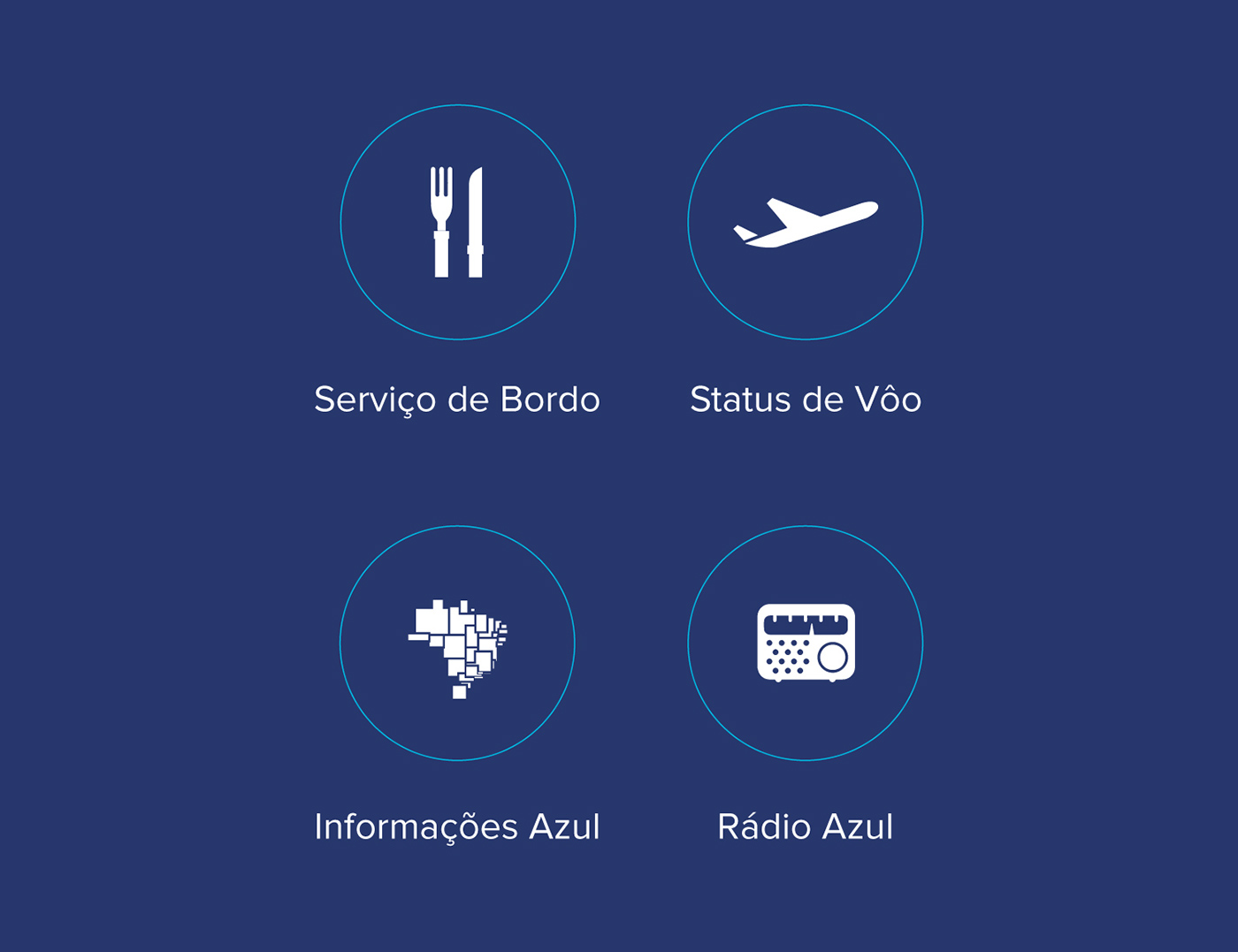 AZUL airplane service serviço de bordo design art mobile