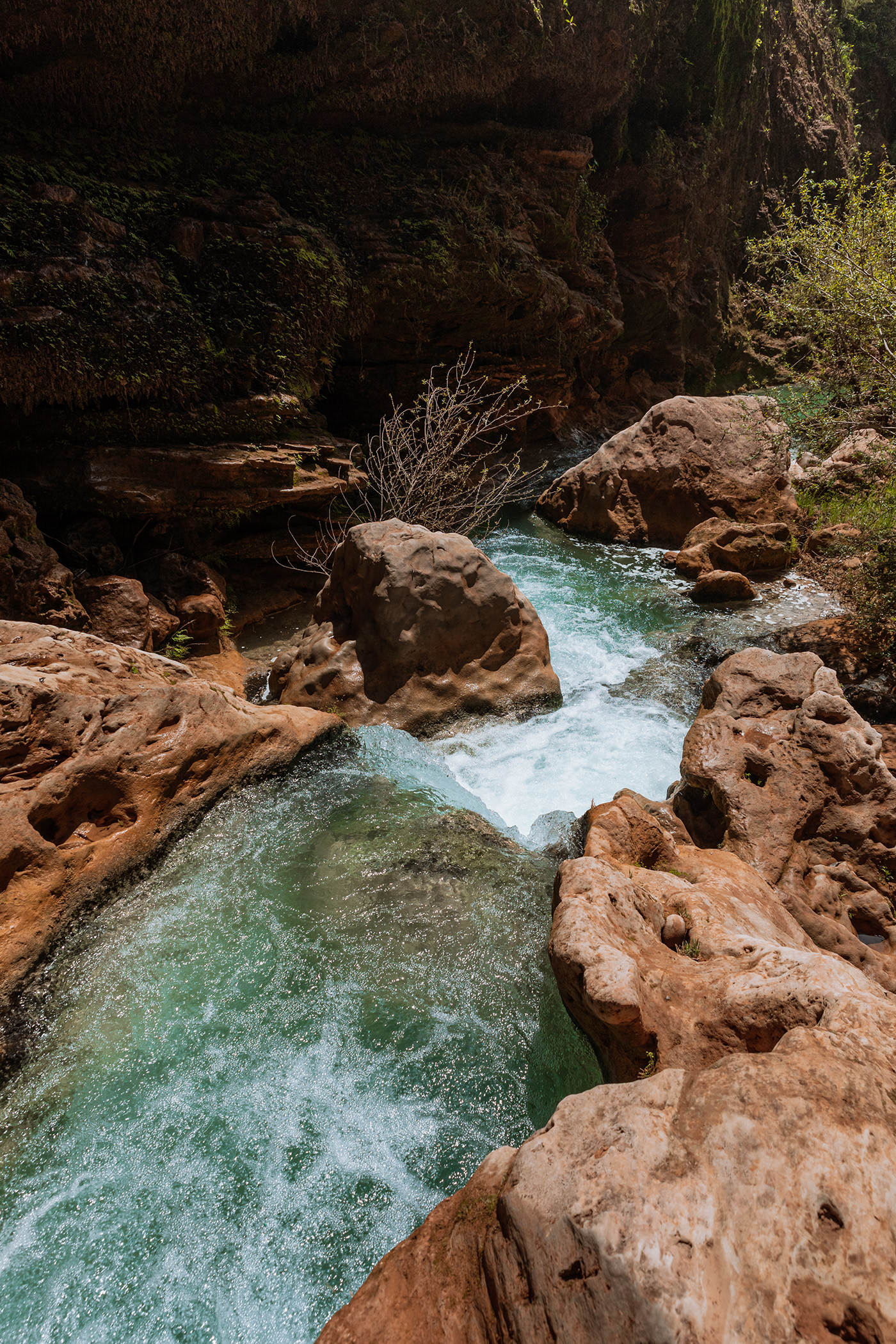 agua cascadas Landscape Mexican mexico naturaleza Nature oaxaca texture Waterfalls