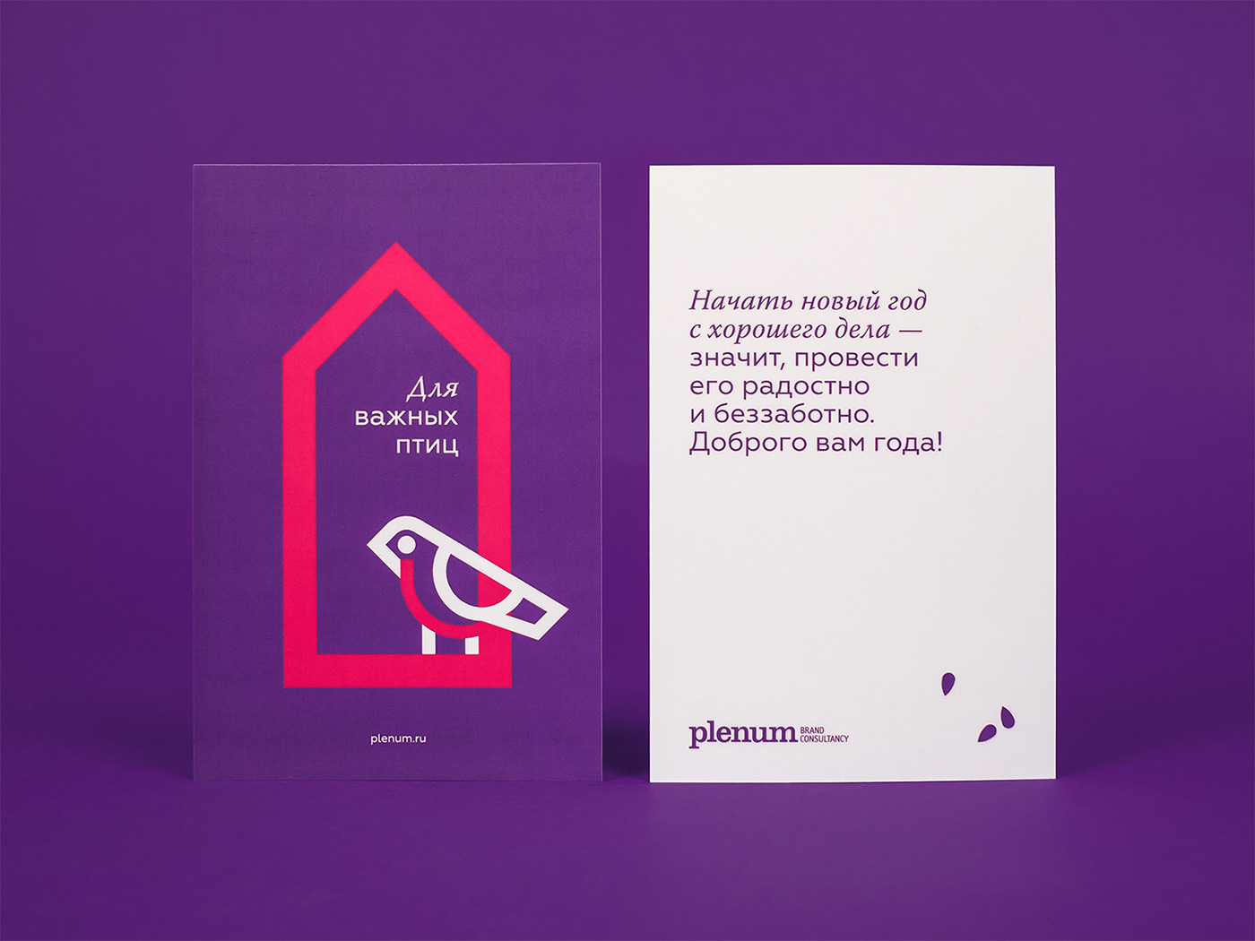 selfpromo handmade Plenum Birdhouse violet Pack wood Russia design branding 