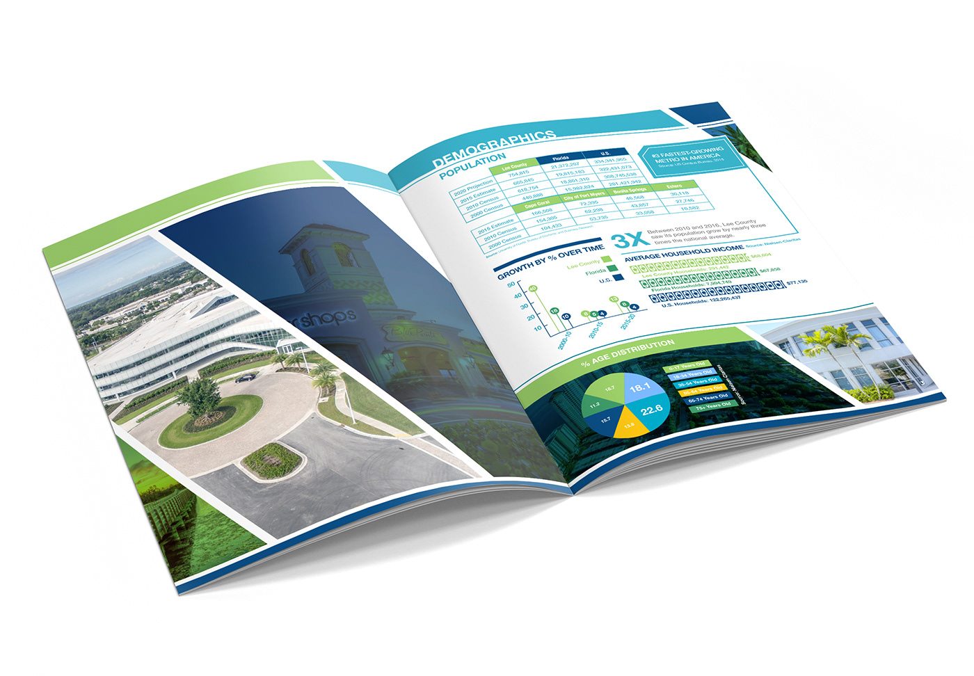 infographic brochure marketing  
