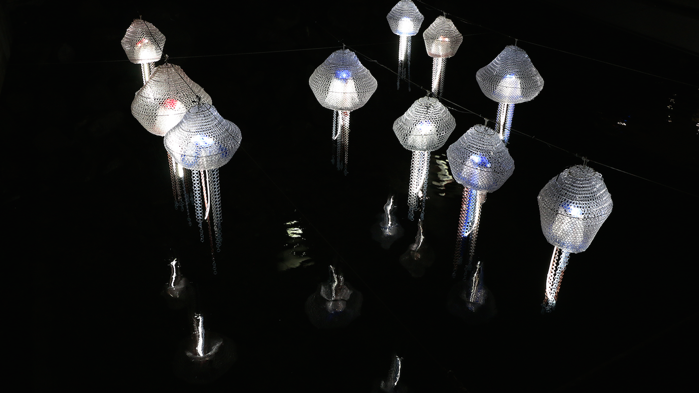 jellyfish Lux light festival wellington waterfront wharf sculpture installation city night led circuit
