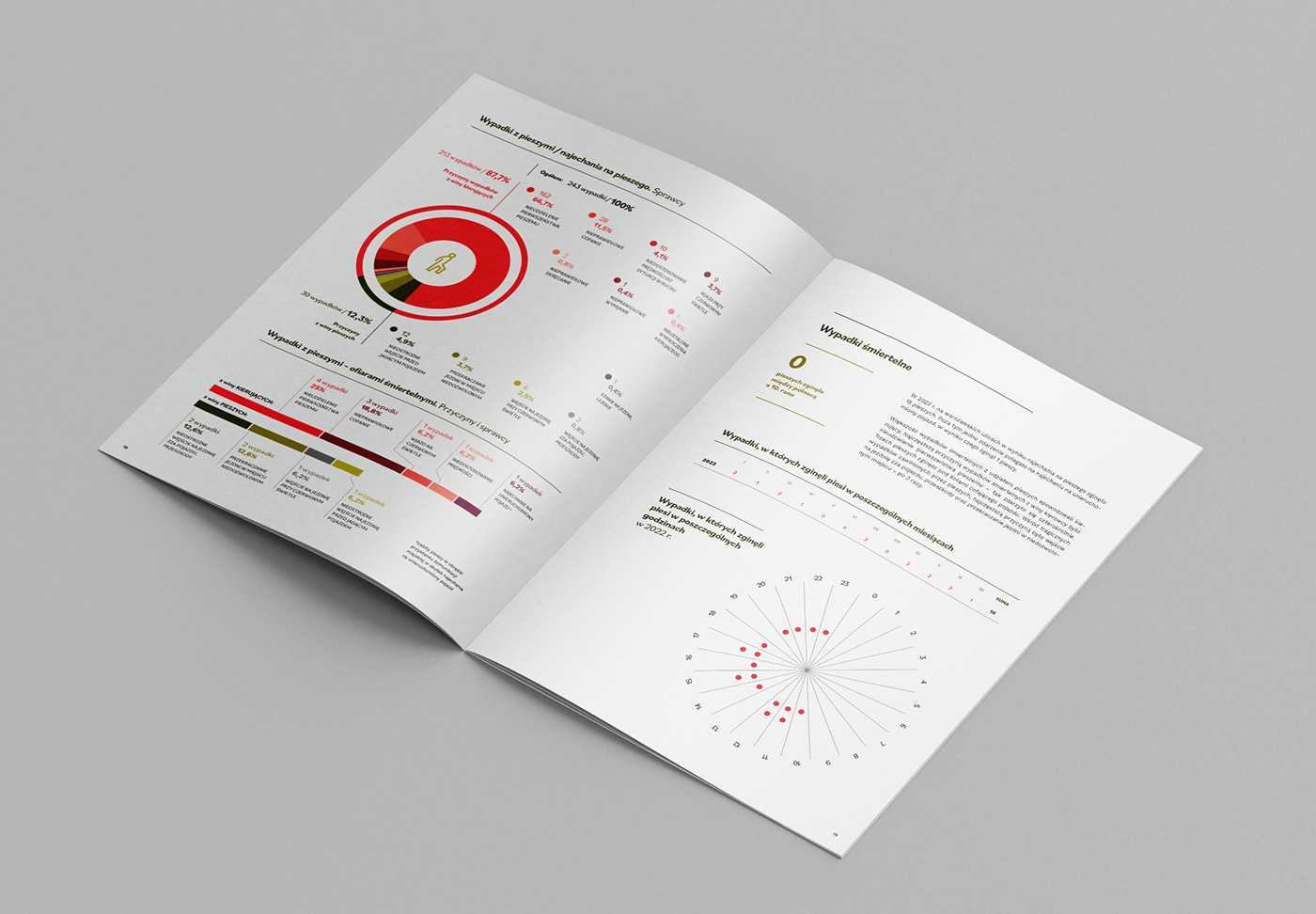 report print design  infographic safety data visualization publication InDesign Layout brochure