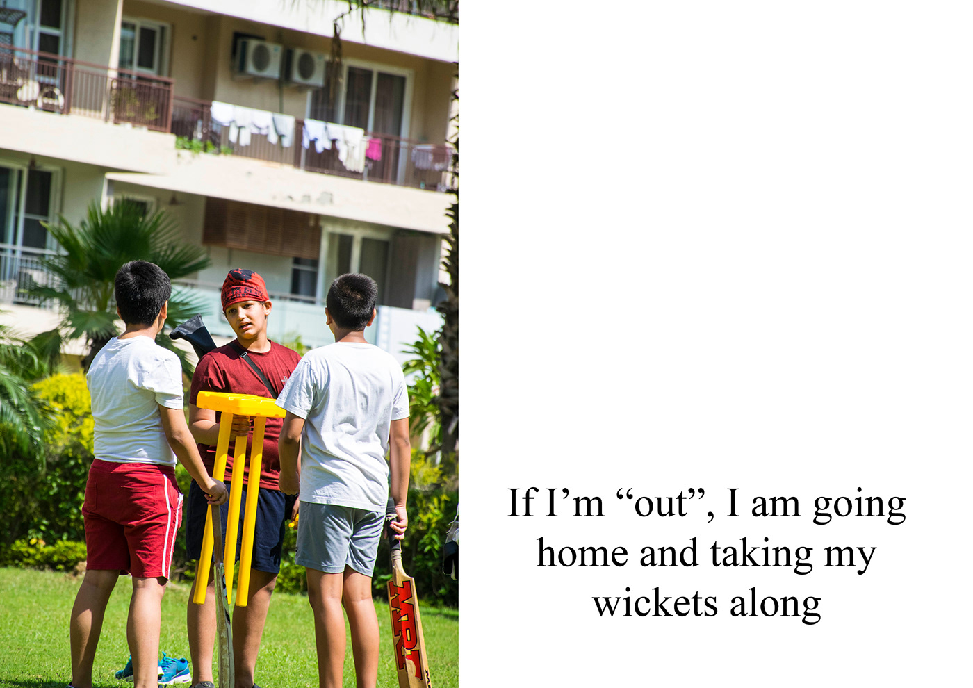 Cricket galli cricket Photography  photostory story story board