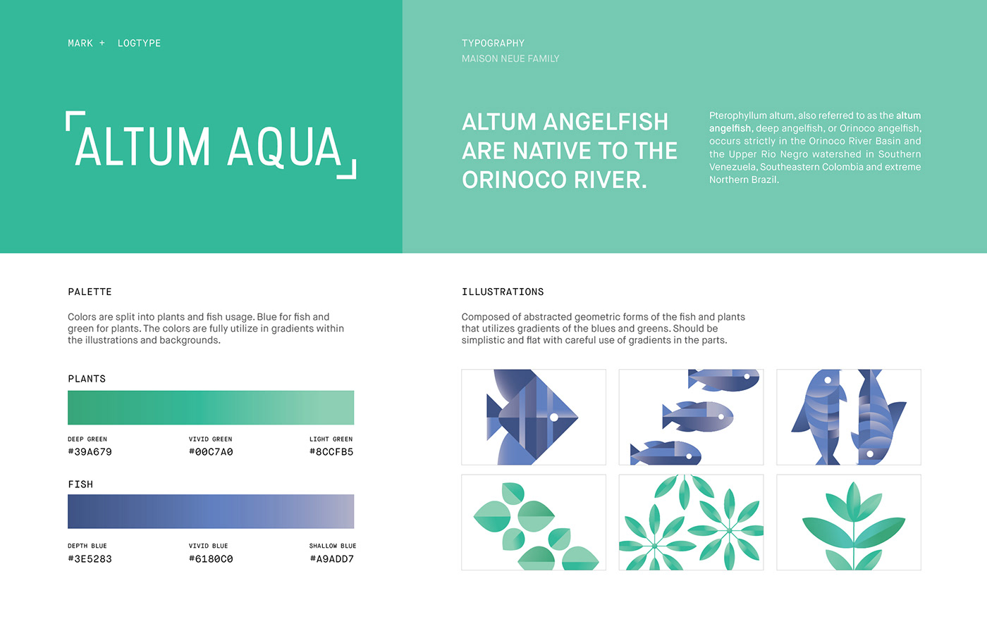 fish store branding  fish store aquascaping aquatics ILLUSTRATION  adobeawards