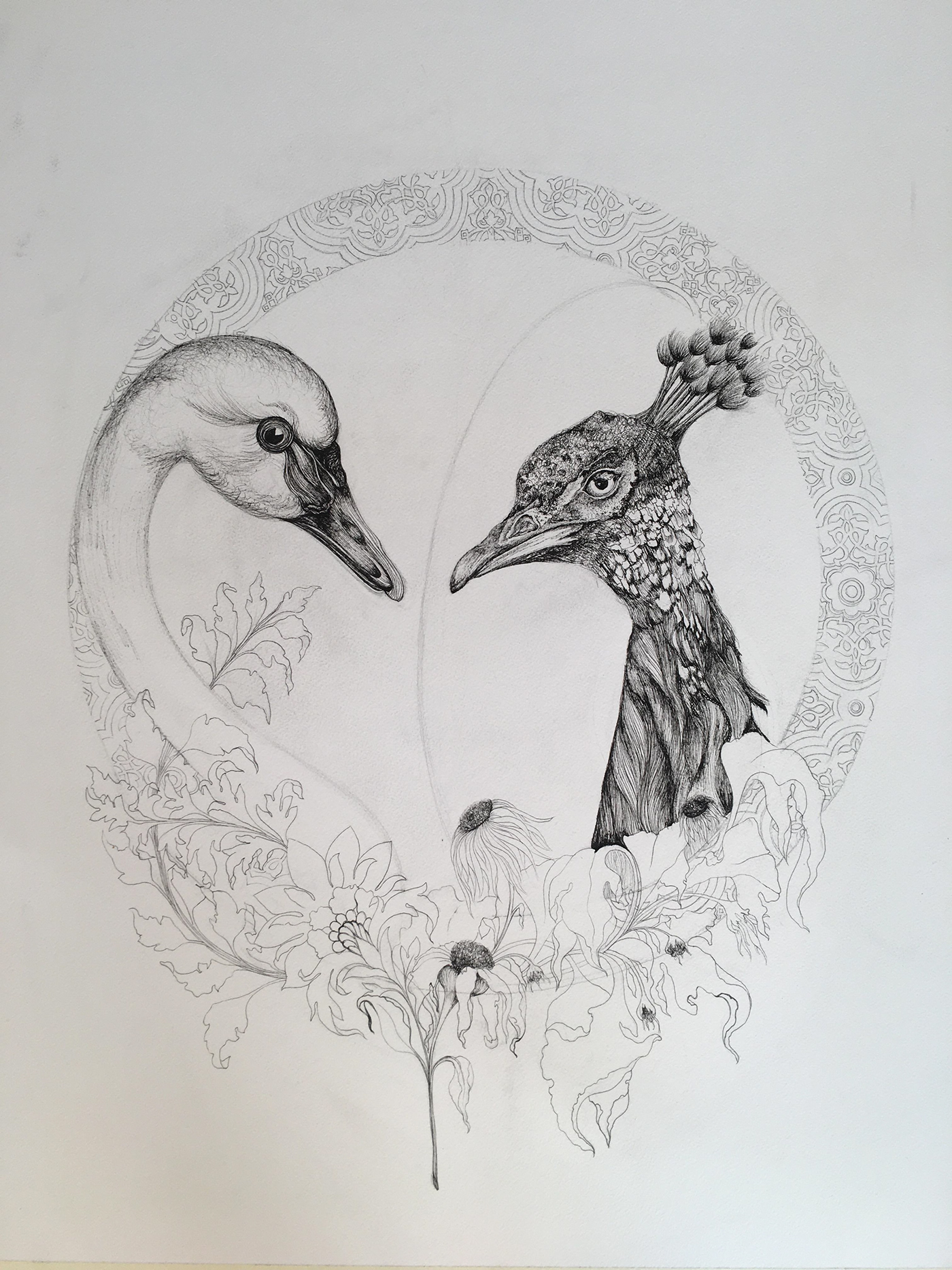 art conceptual art culture peacocks spiritual Story telling swans visual artist