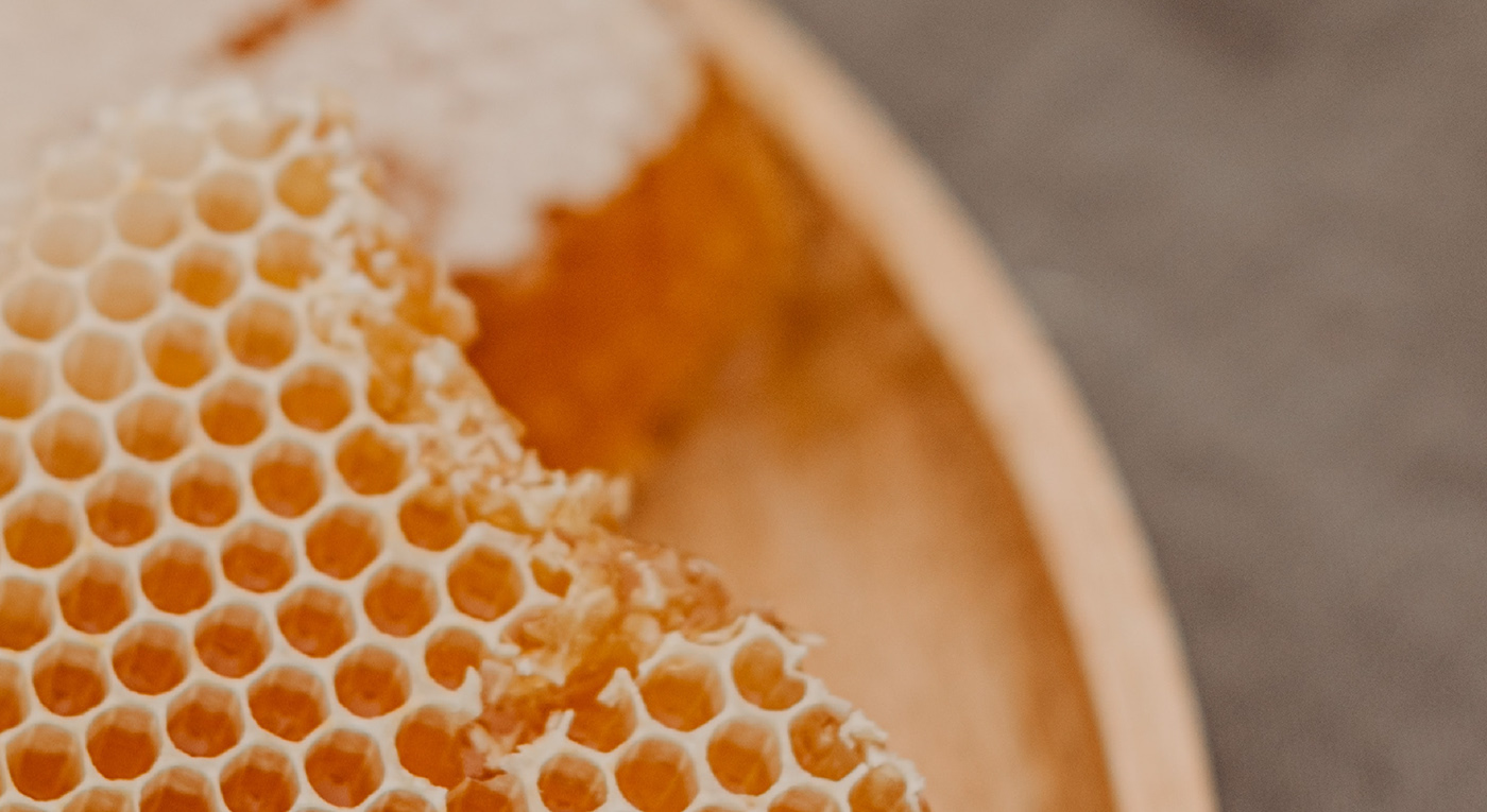branding  honey label design logo naming Packaging sea bee mediterranean mediterraneo Ocean Realfood rocks spain food spain packaging traditional water