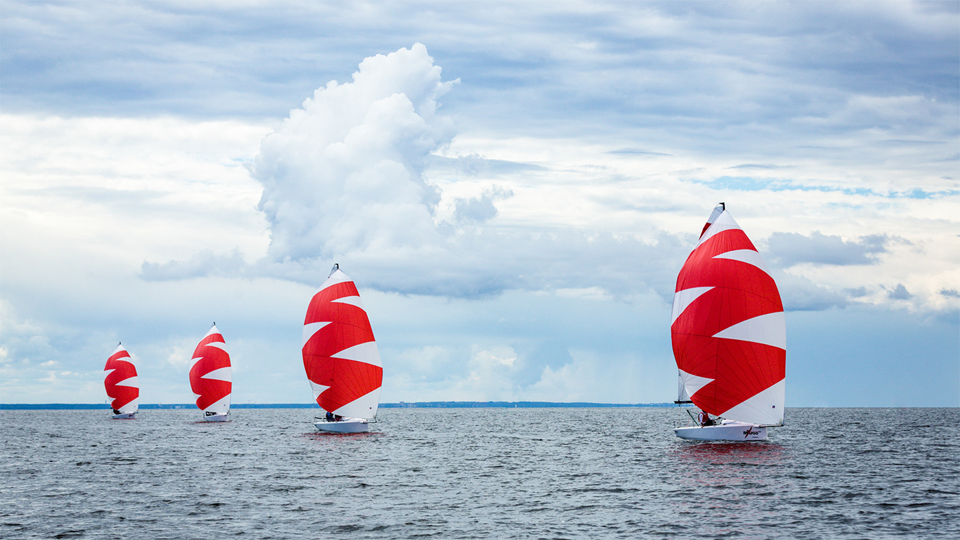 branding  yacht Yachting zigzag sailing gennaker Website digital sport corporate