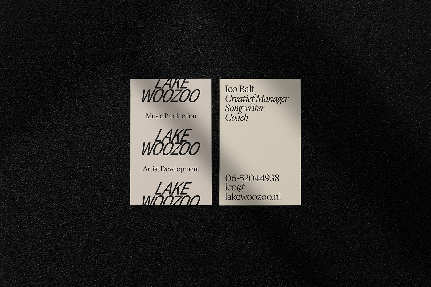 brand Brand Design brand identity identity Lake Woozoo Logo Design Logotype music typography   visual identity