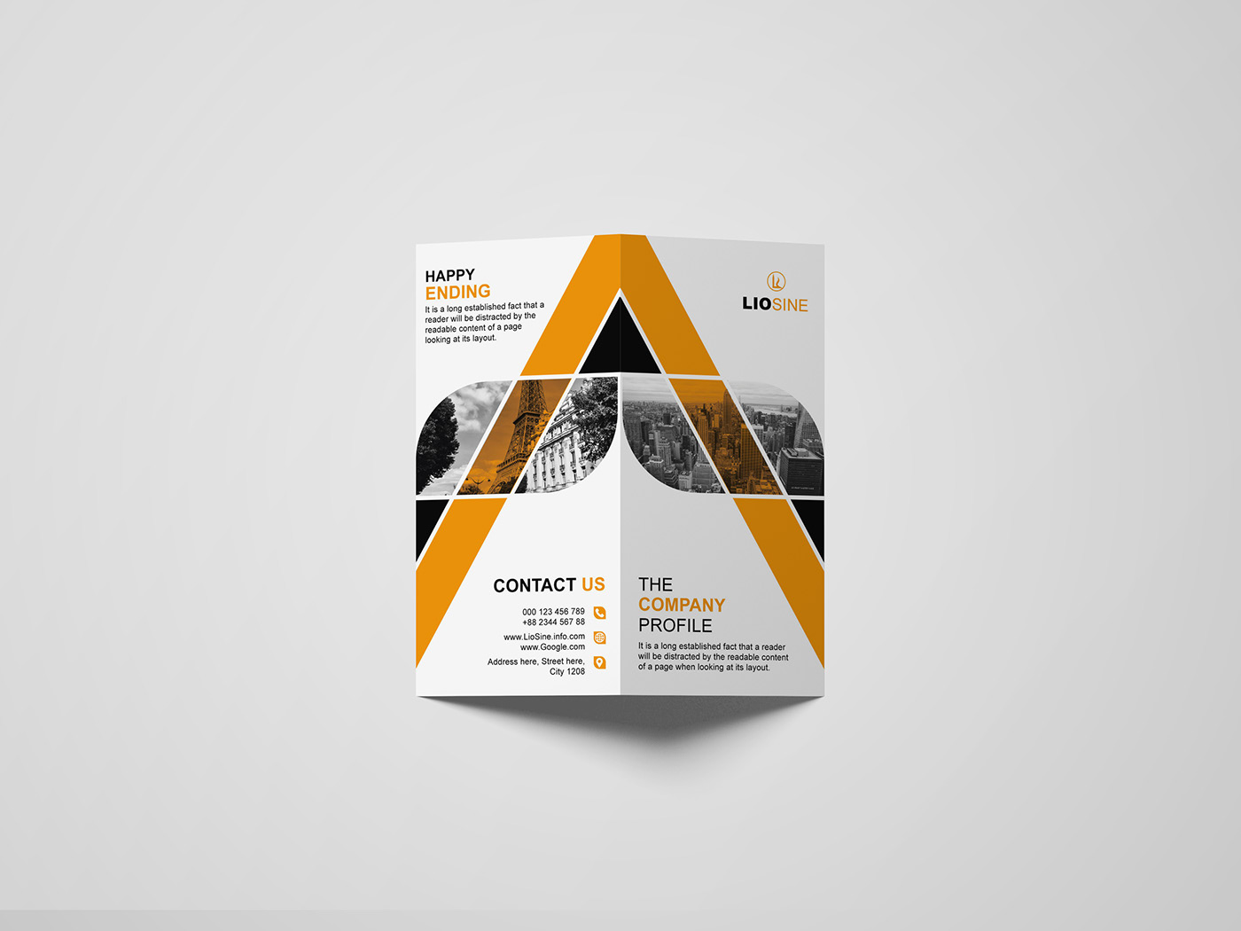 brochure fyler graphic design  leaflet professional printdesign marketing   corporate branding  thifold brochure