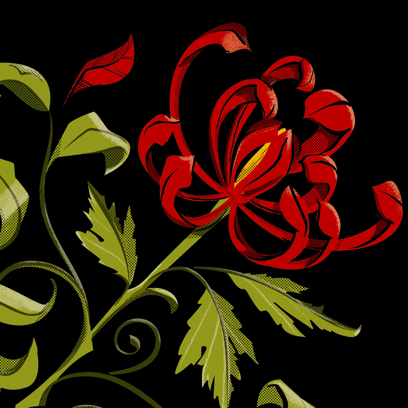 artwork ILLUSTRATION  branding  design Flowers graphic design  logo Packaging visual identity