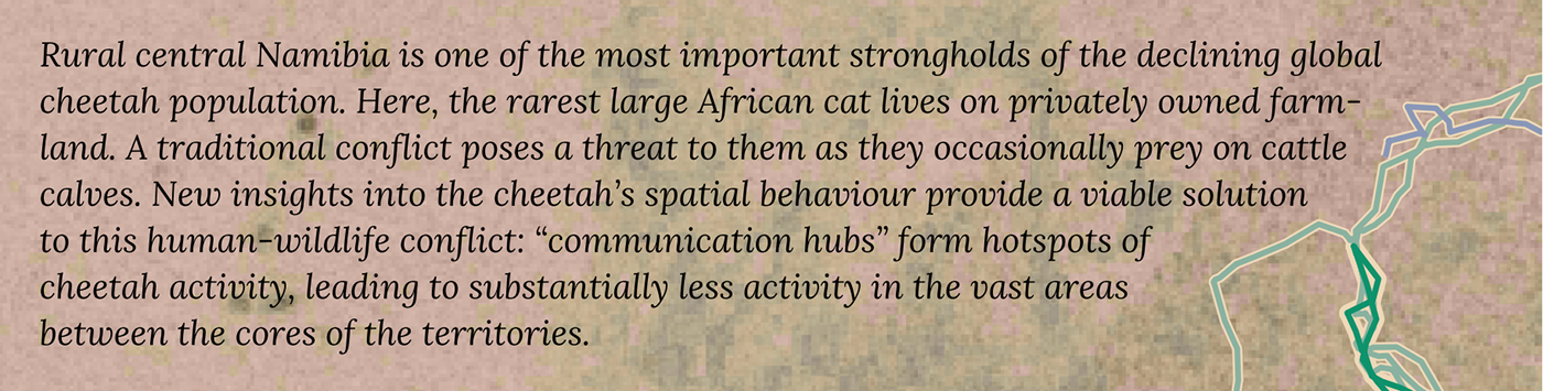 africa animals carnivores cheetah conservation dataviz mammals map movement Namibia
