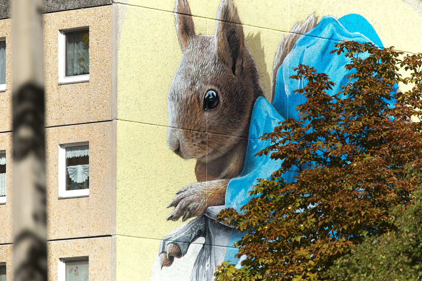 squirrel installation Megaphone color germany