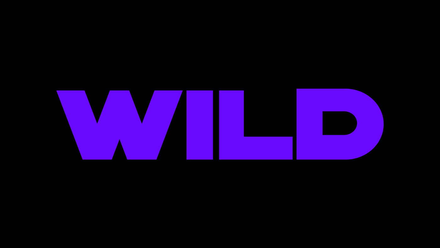 font fonts free wild world