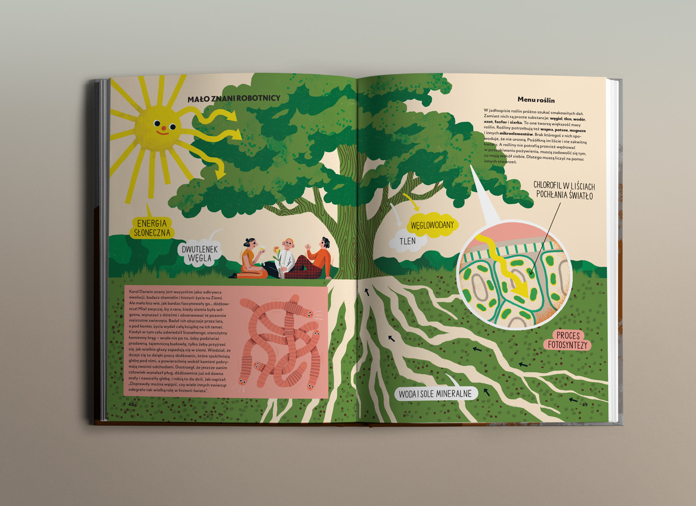 book book design book for children cover design Digital Art  ILLUSTRATION  illustration design nonfiction book