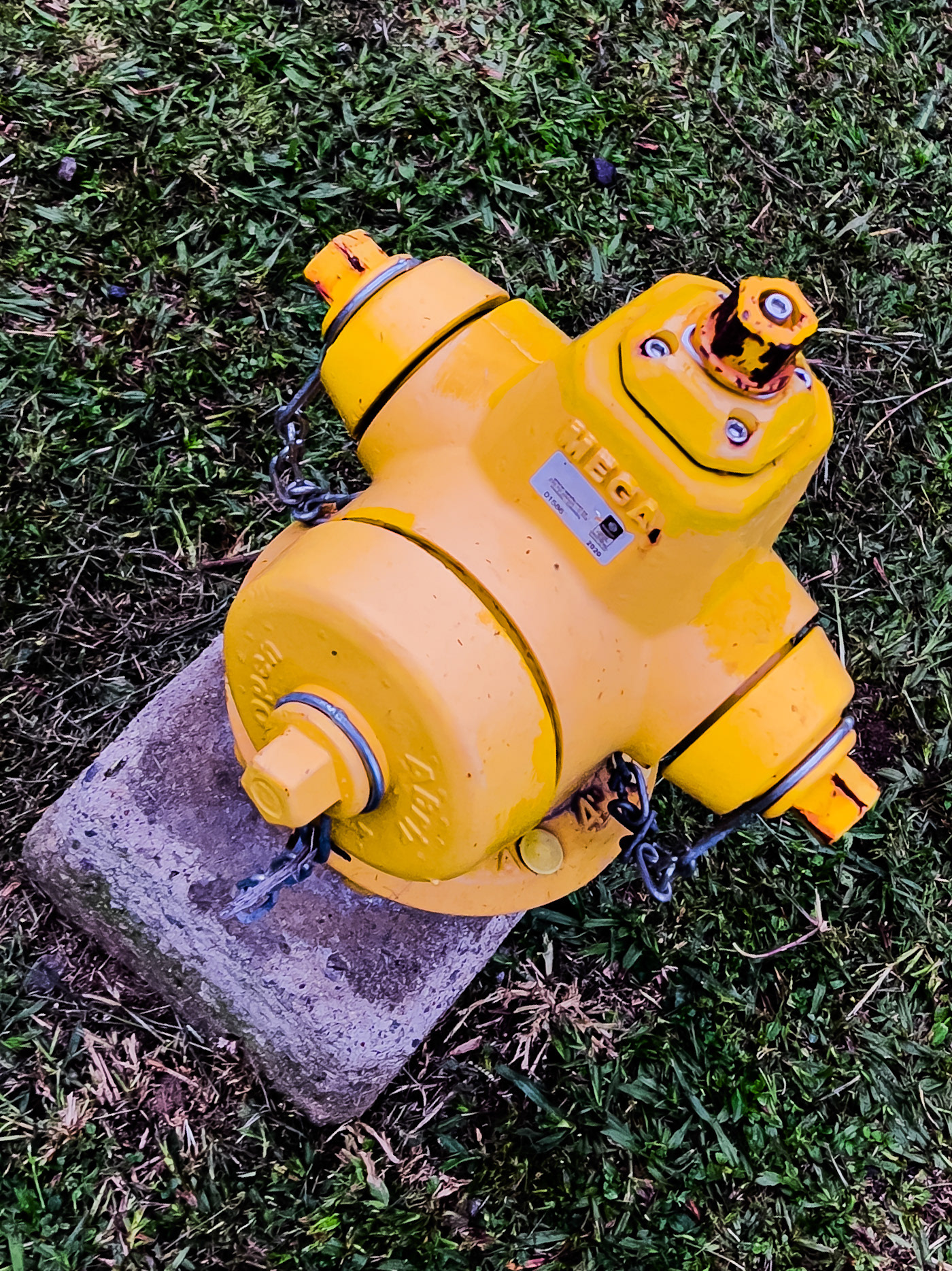 Image may contain: yellow, outdoor object and hydrant