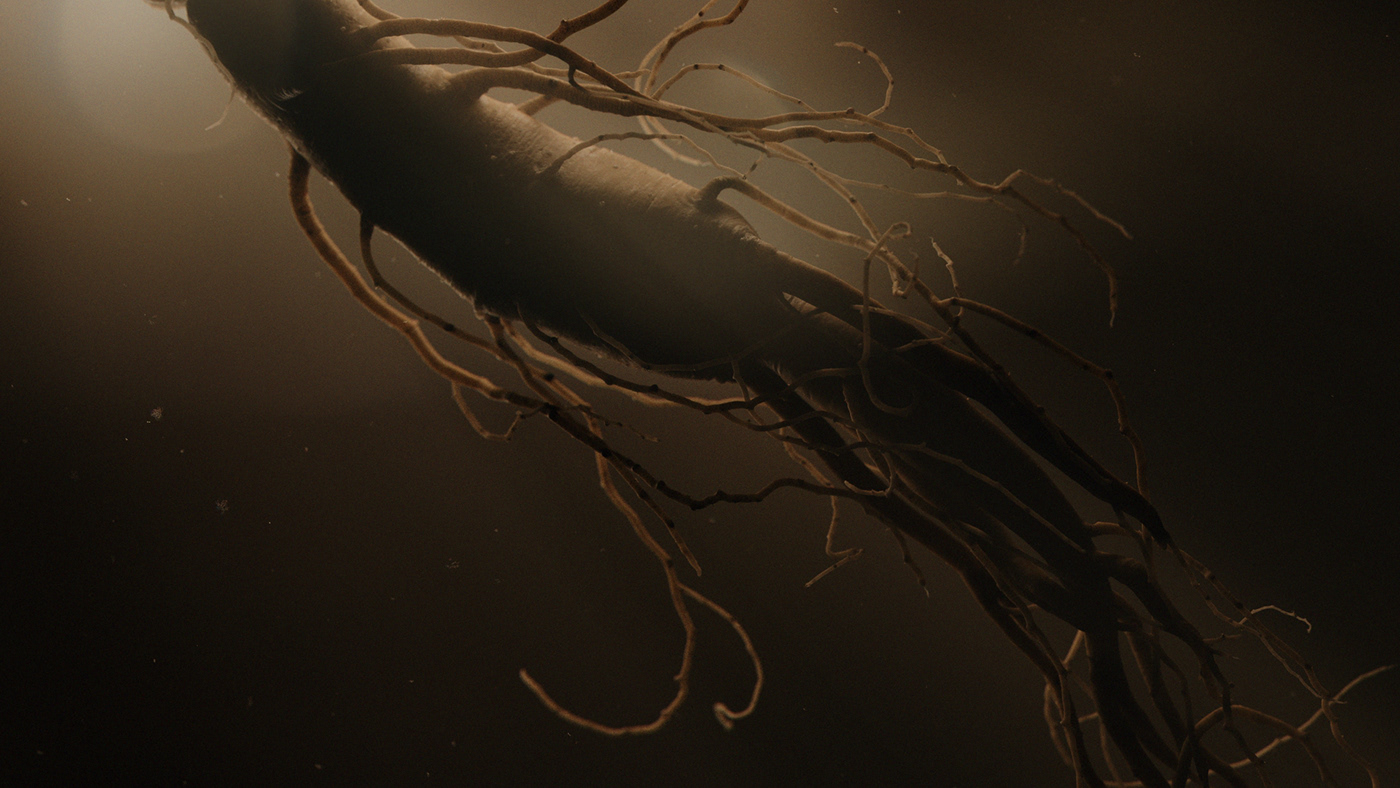 ginseng roots CGI food3d makro