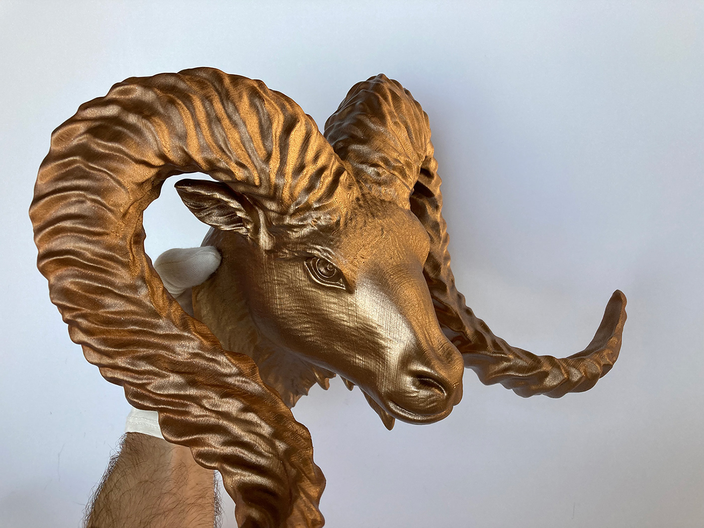 Bighorn Ram Head Wall Sculpture. Painted in Metallic Bronze Color.