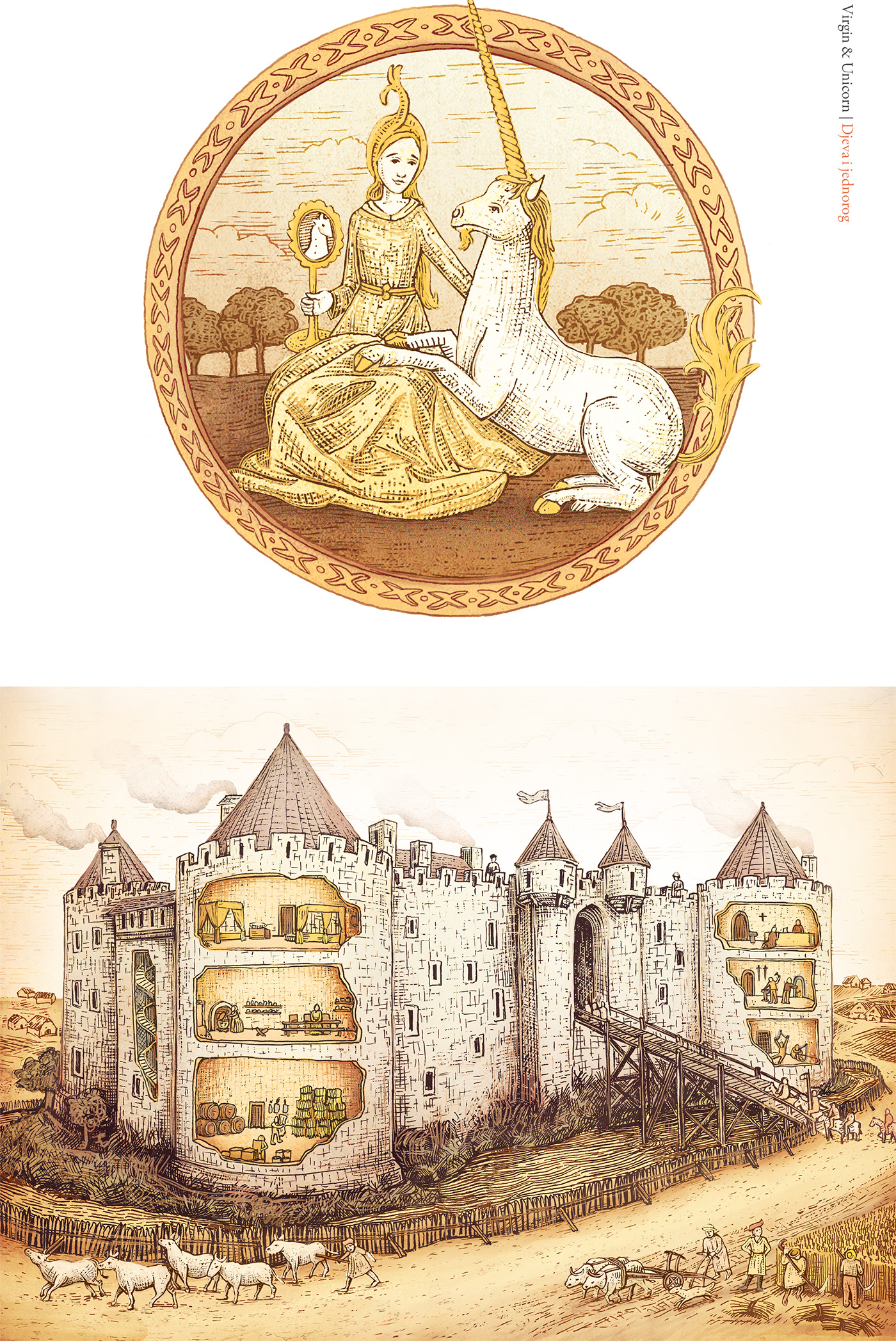 book book cover children illustration dragon historical Illustrated book ILLUSTRATION  knight medieval middle ages
