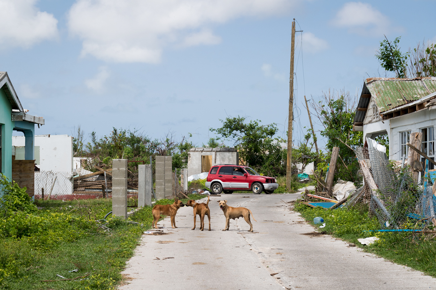 barbuda hurricane Caribbean devastation natural disaster storm destruction evacuation Humanitarian emergency