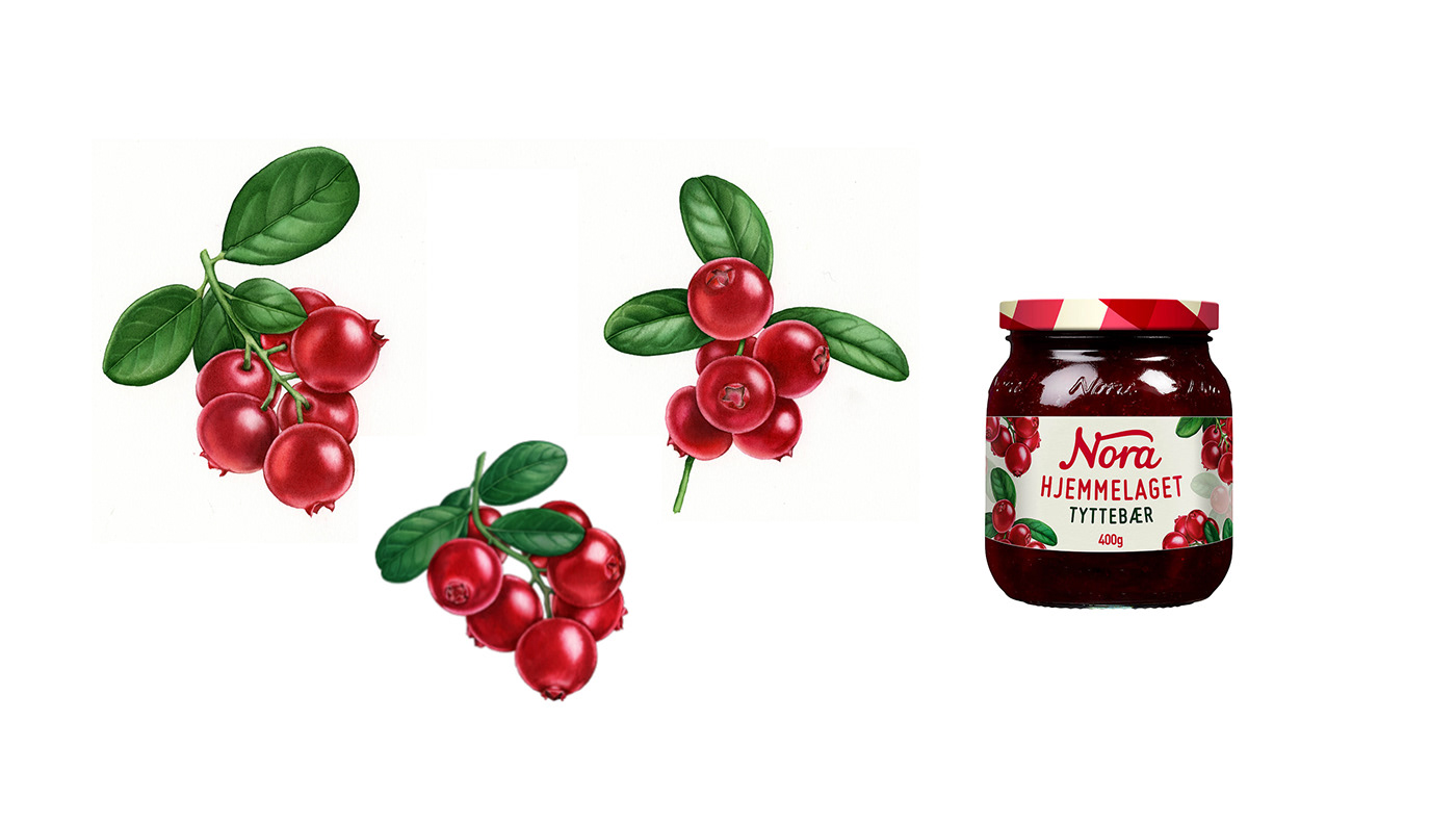 aquarelle berries botanical Food Packaging Fruit ingredients Label leaves Packaging strawberry