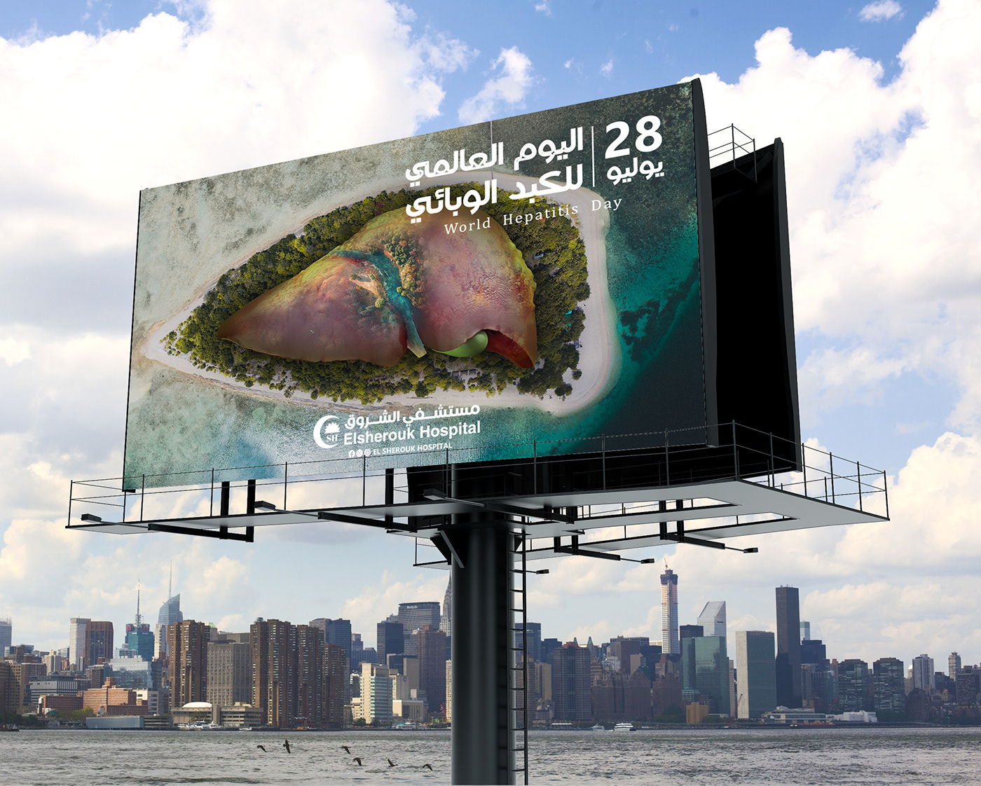hepatitis Livery medical advertisment banner ads manipulation visualization World Hepatitis Day