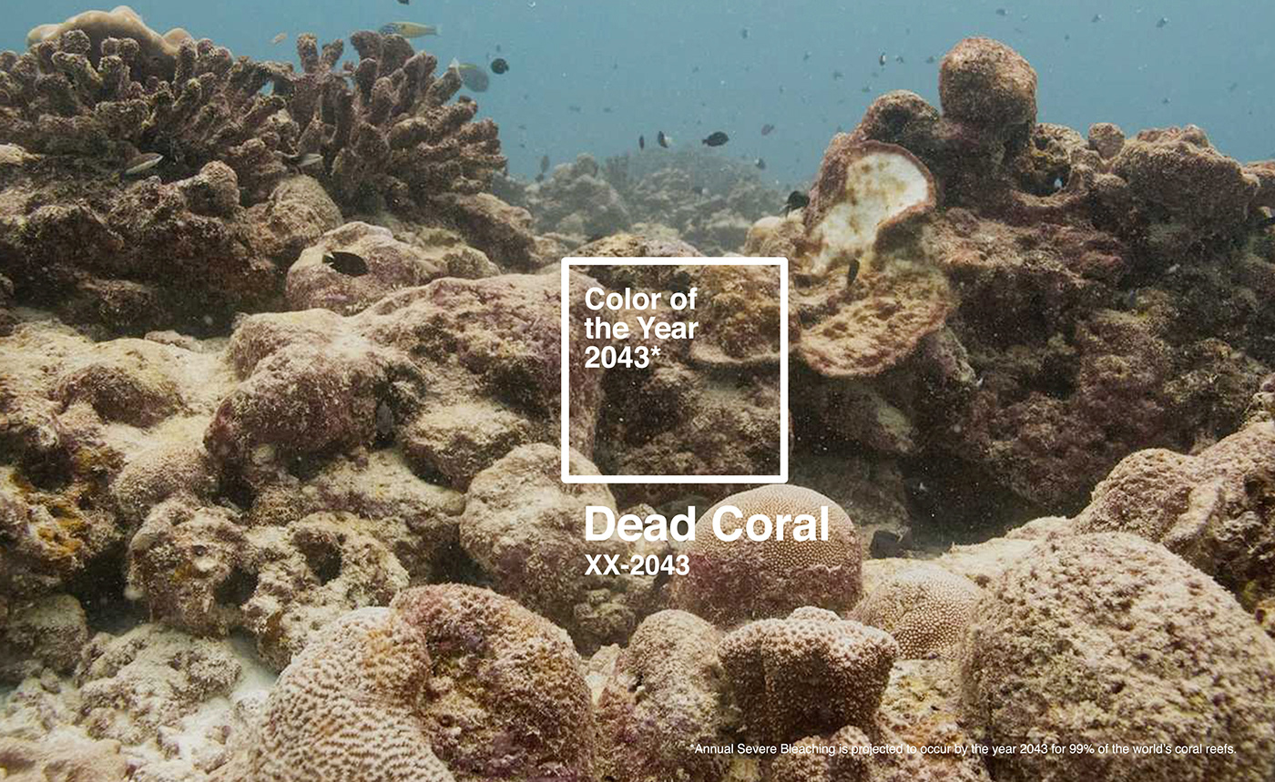 Coloroftheyear color year design dead coral Dead Coral living coral patone Ocean